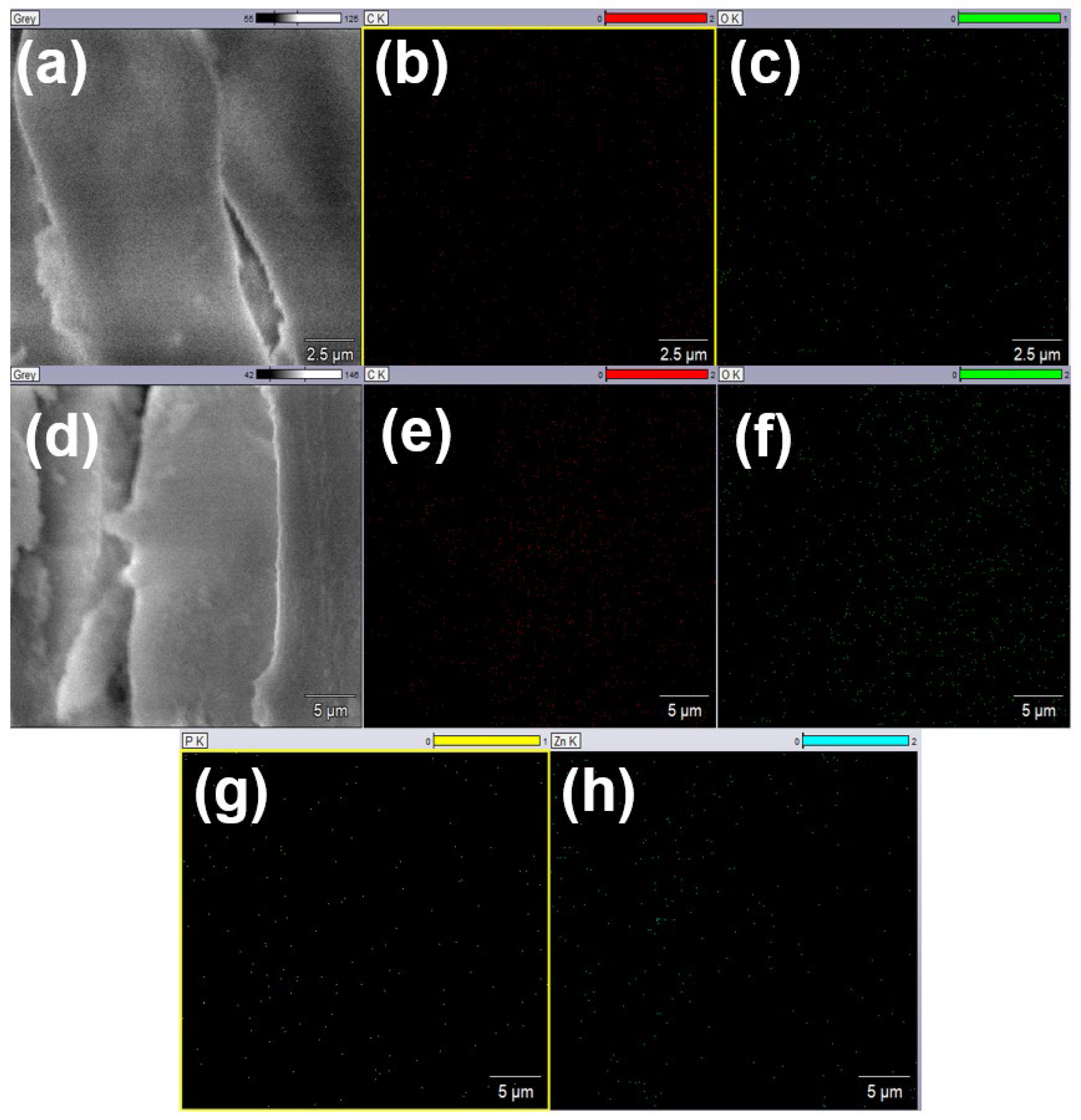 Coatings 13 00747 g004 Coatings 13 00747 g004