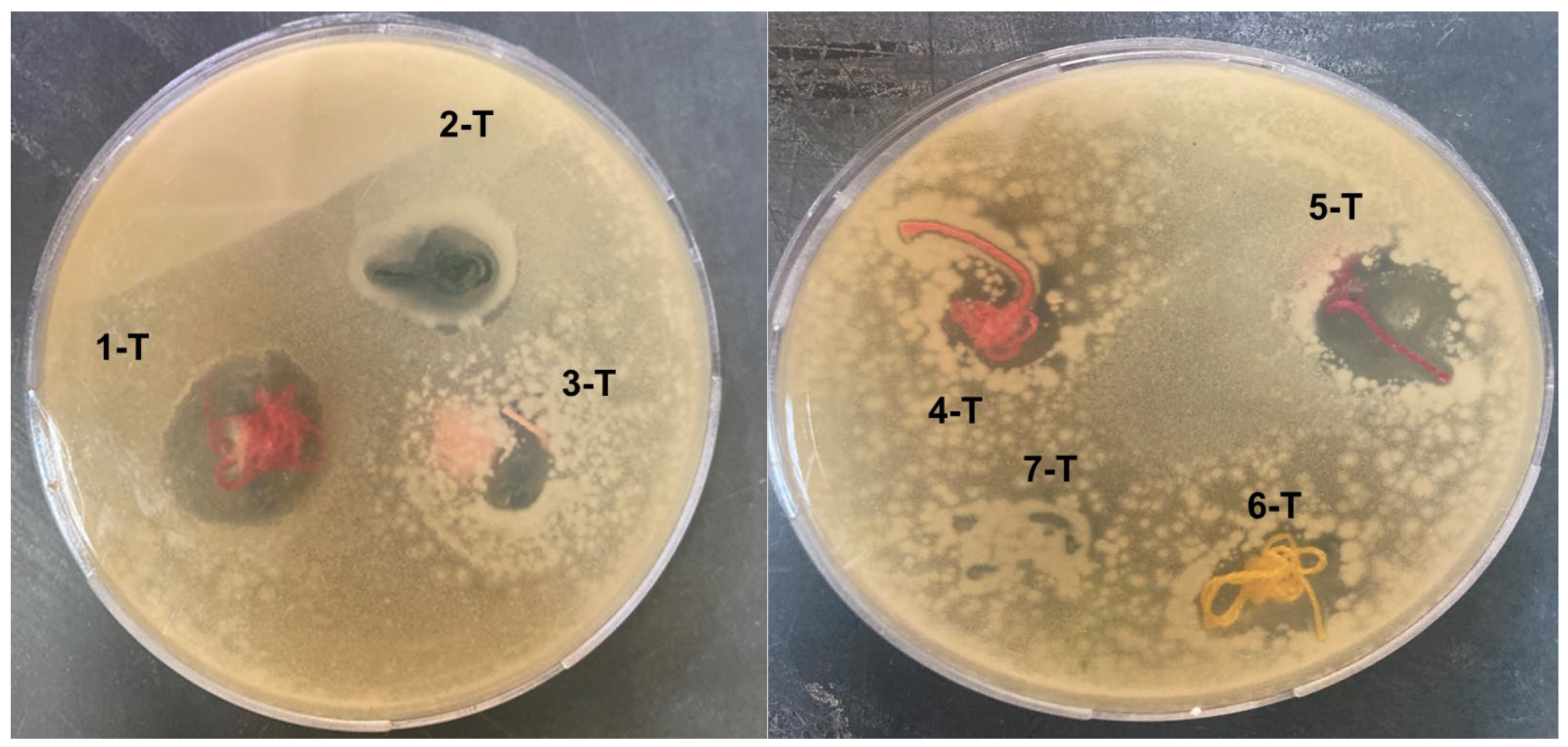 Coatings 13 00747 g006 Coatings 13 00747 g006