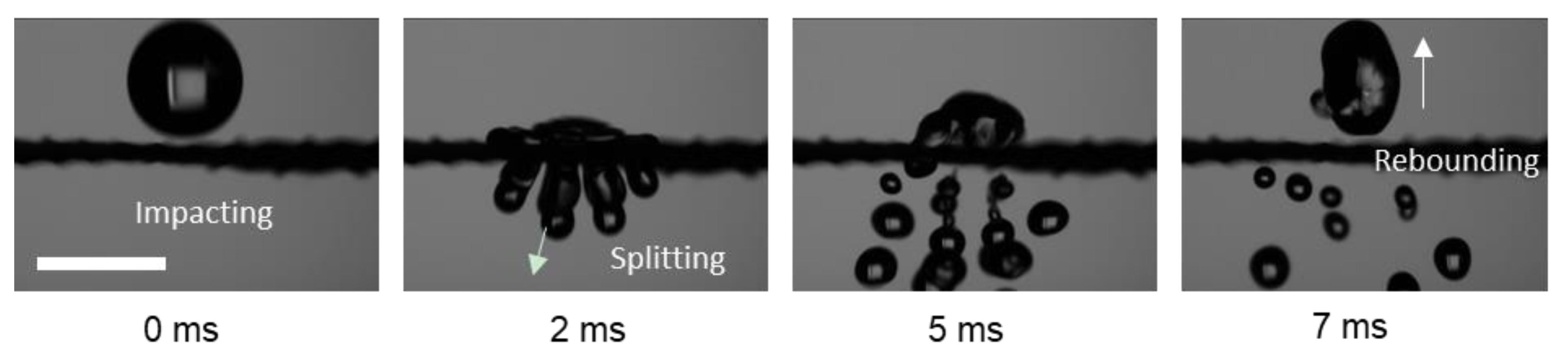 Coatings 13 00756 g006