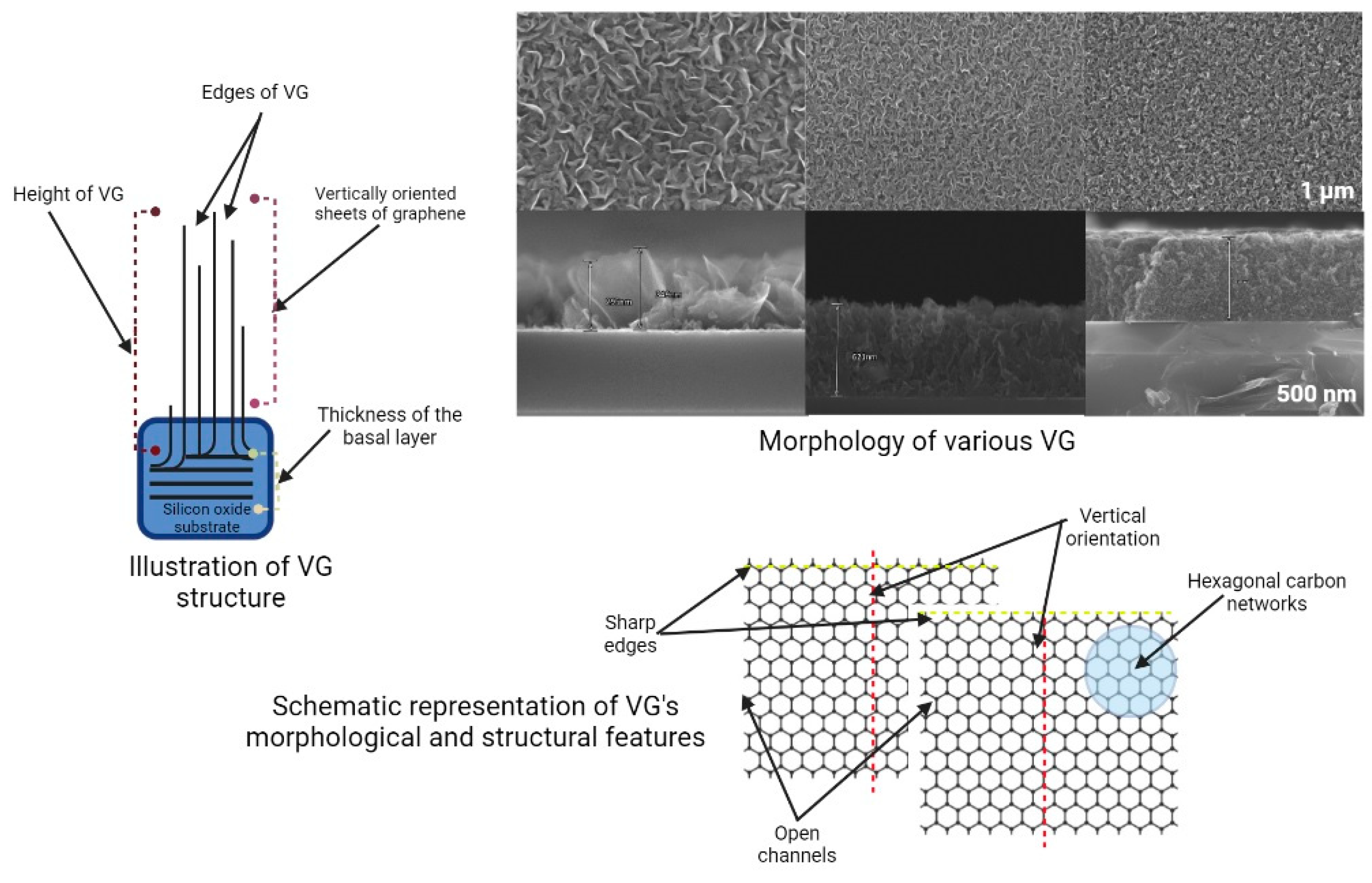 Coatings 13 00761 g002
