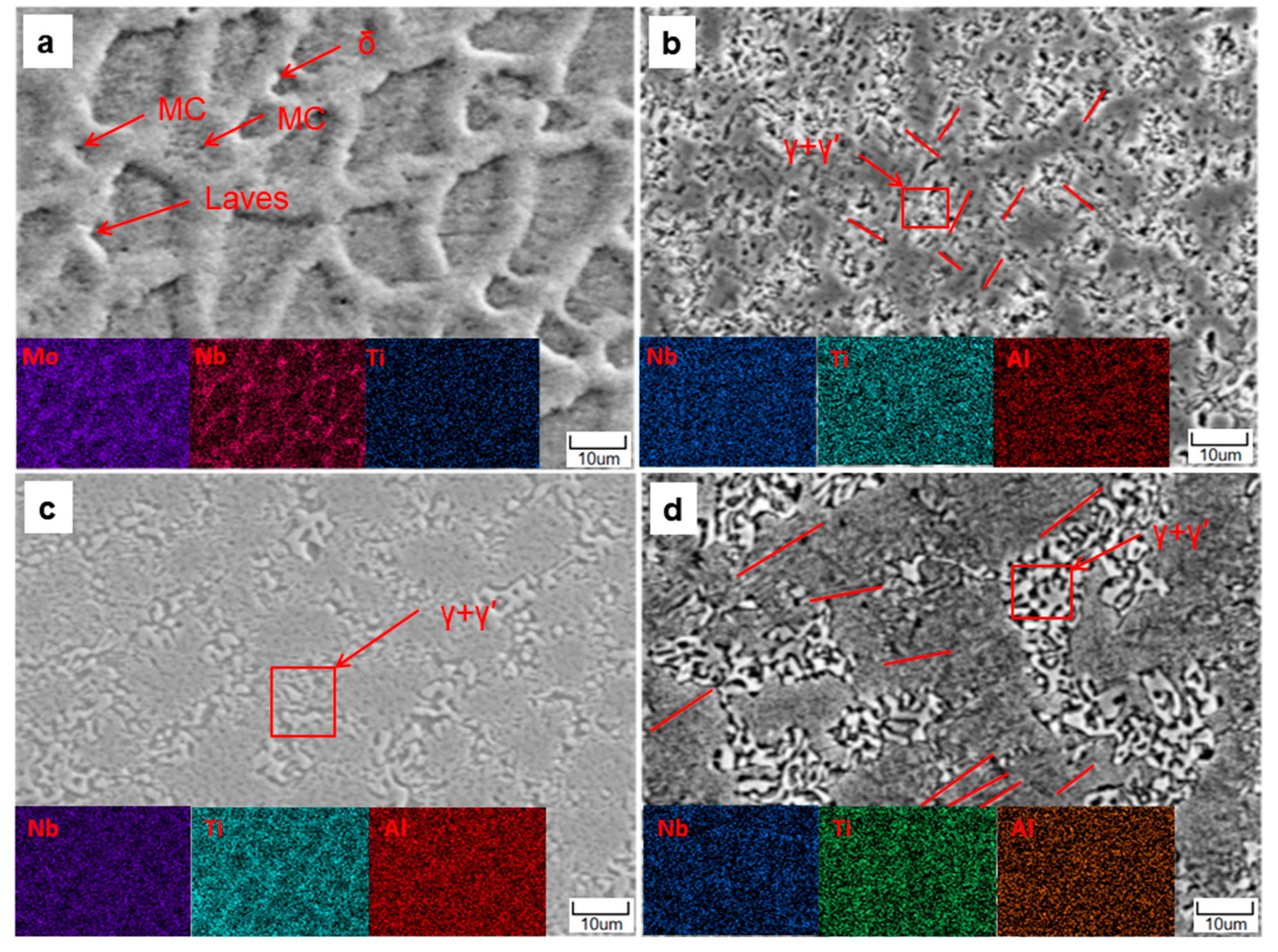 Coatings 13 00768 g005