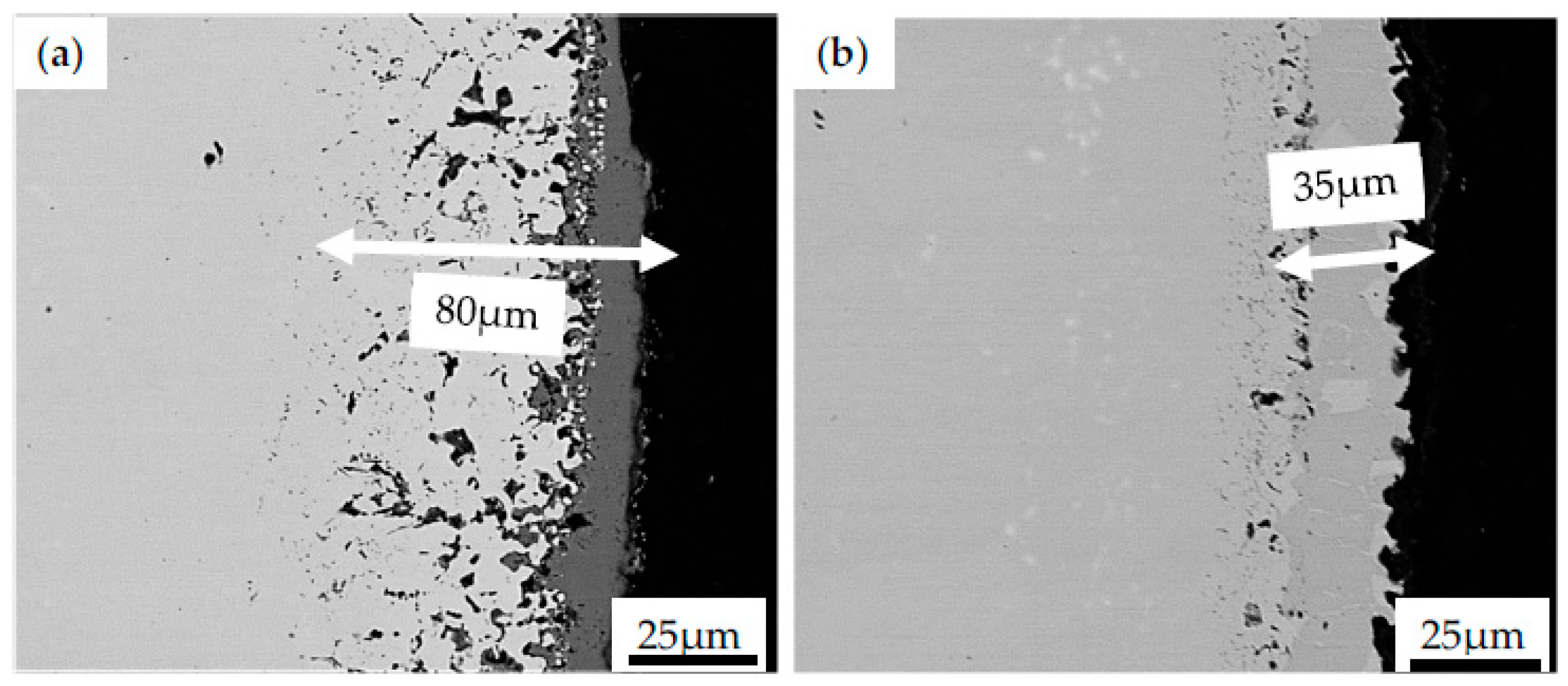 Coatings 13 00769 g007 Coatings 13 00769 g007