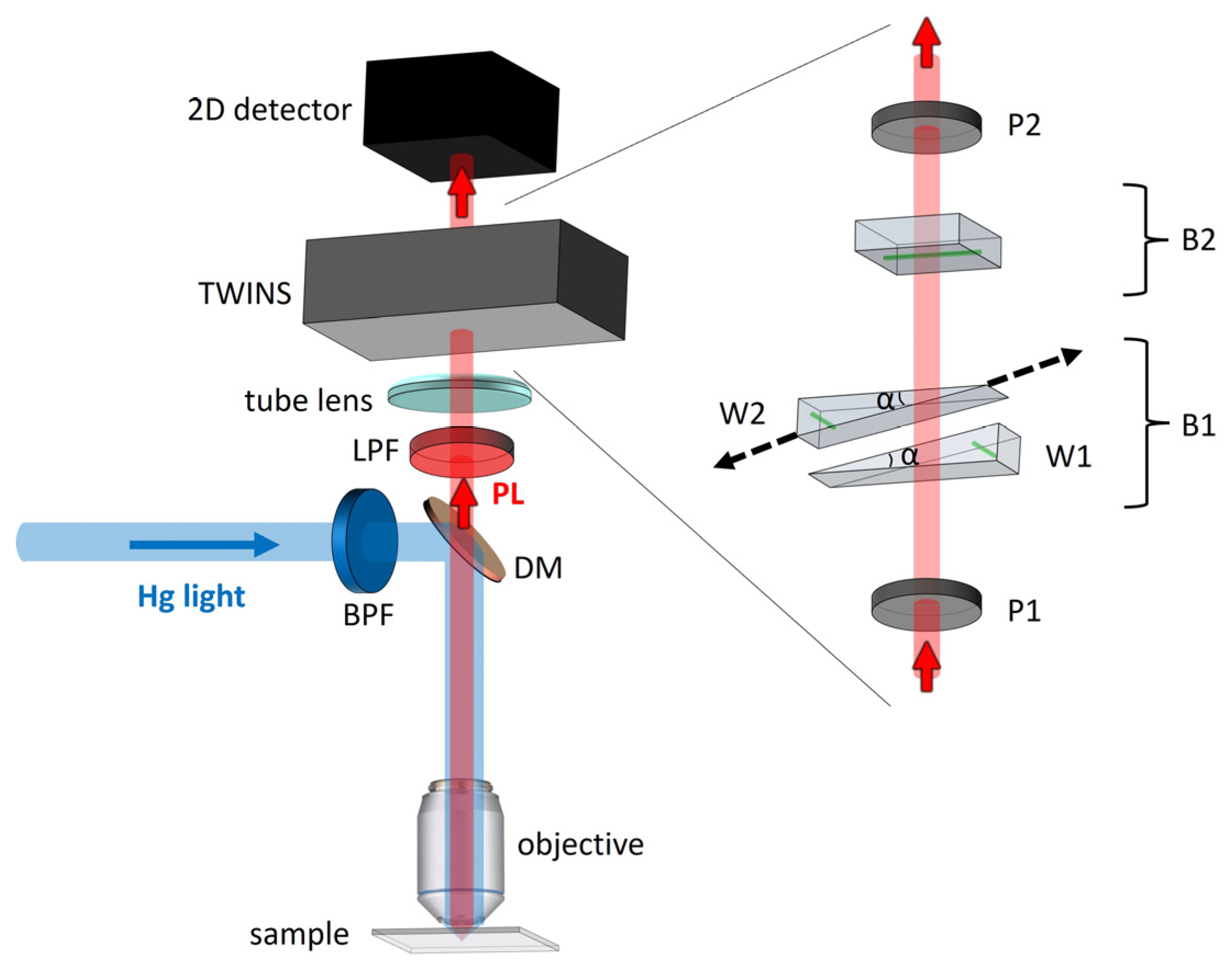 Coatings | Free Full-Text | Spectral Imaging of UV-Blocking Carbon Dot ...