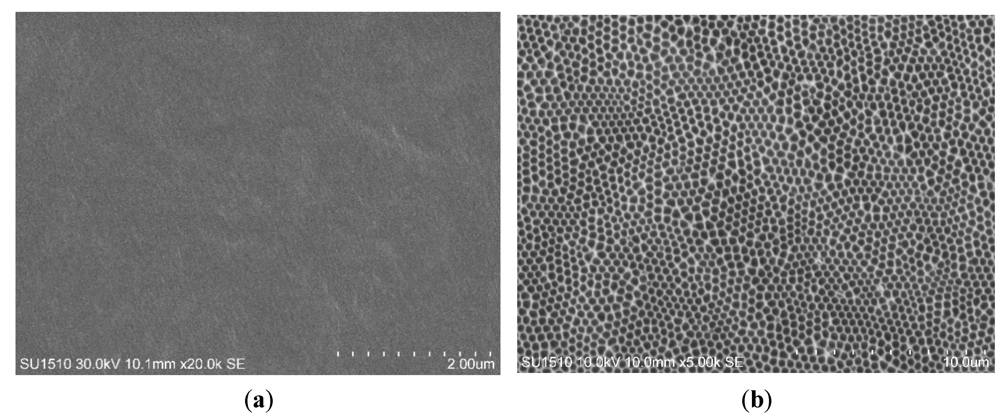 Batteries the Size of a Grain of Salt Enabled by Nanowires - IEEE Spectrum