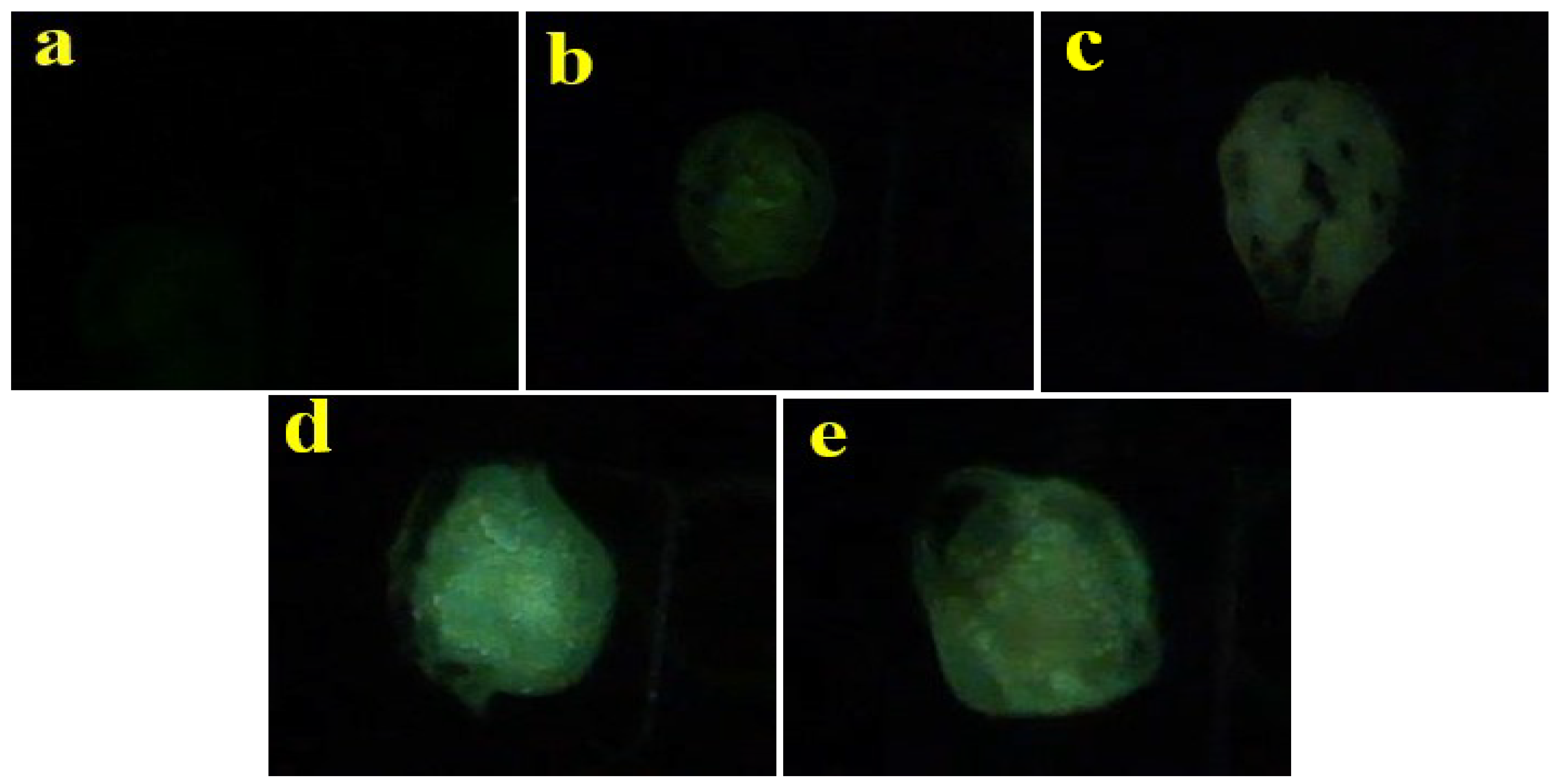 Coatings 13 00808 g007 Coatings 13 00808 g007