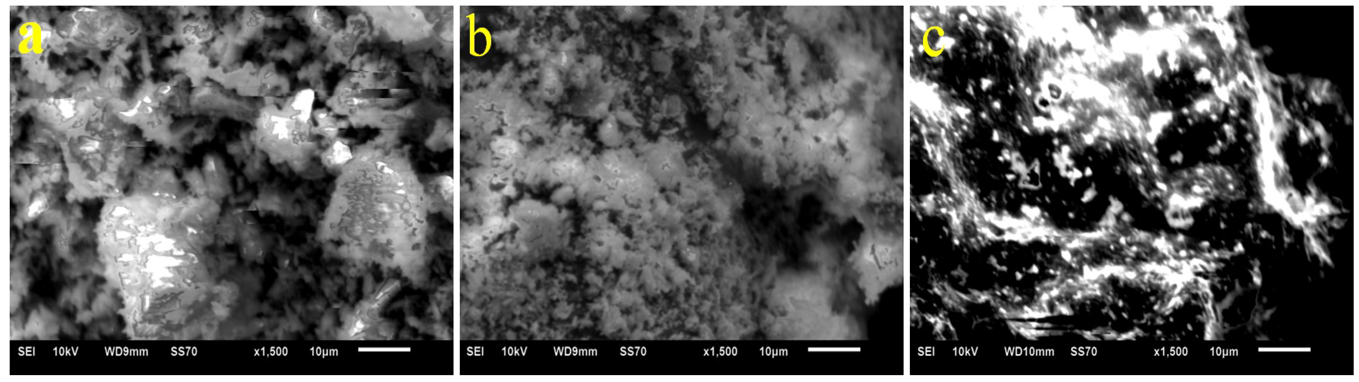 Coatings 13 00808 g013 Coatings 13 00808 g013