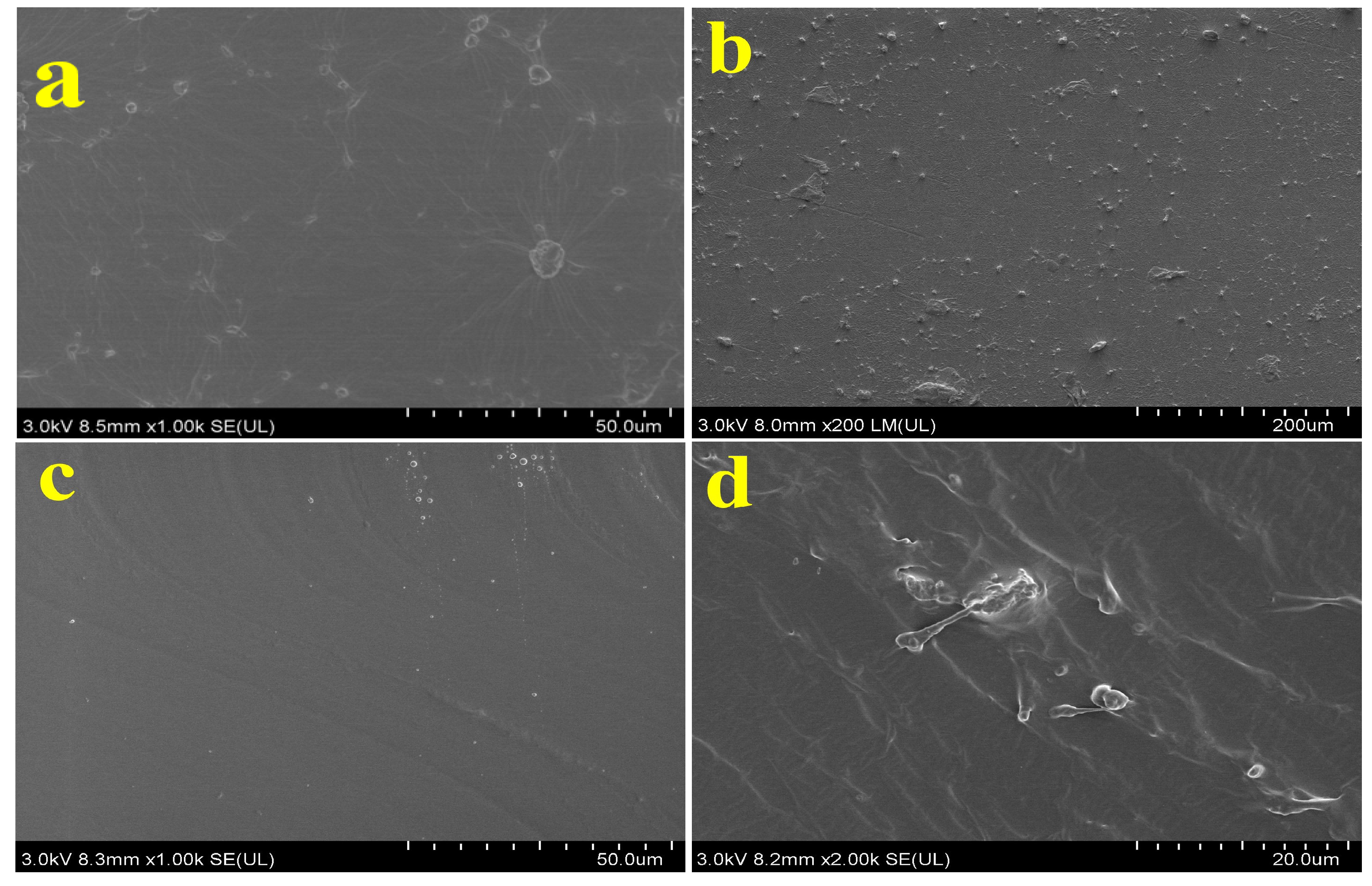 Coatings 13 00808 g016 Coatings 13 00808 g016