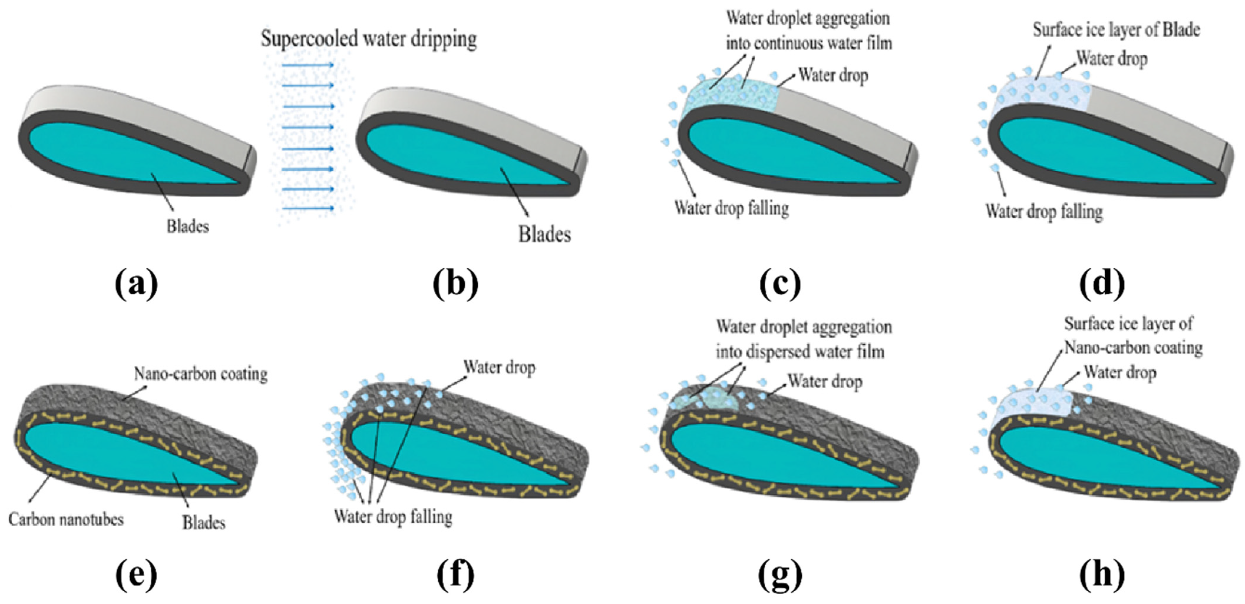 Coatings 13 00814 g013 Coatings 13 00814 g013