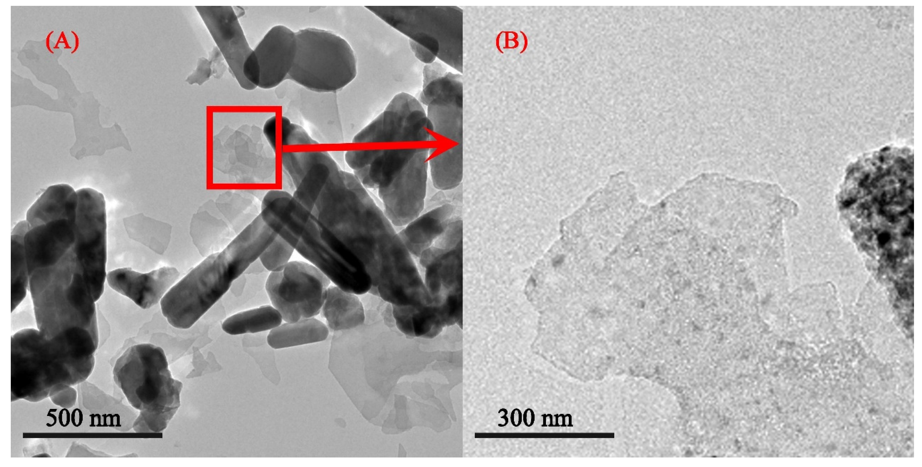 Coatings 13 00819 g012