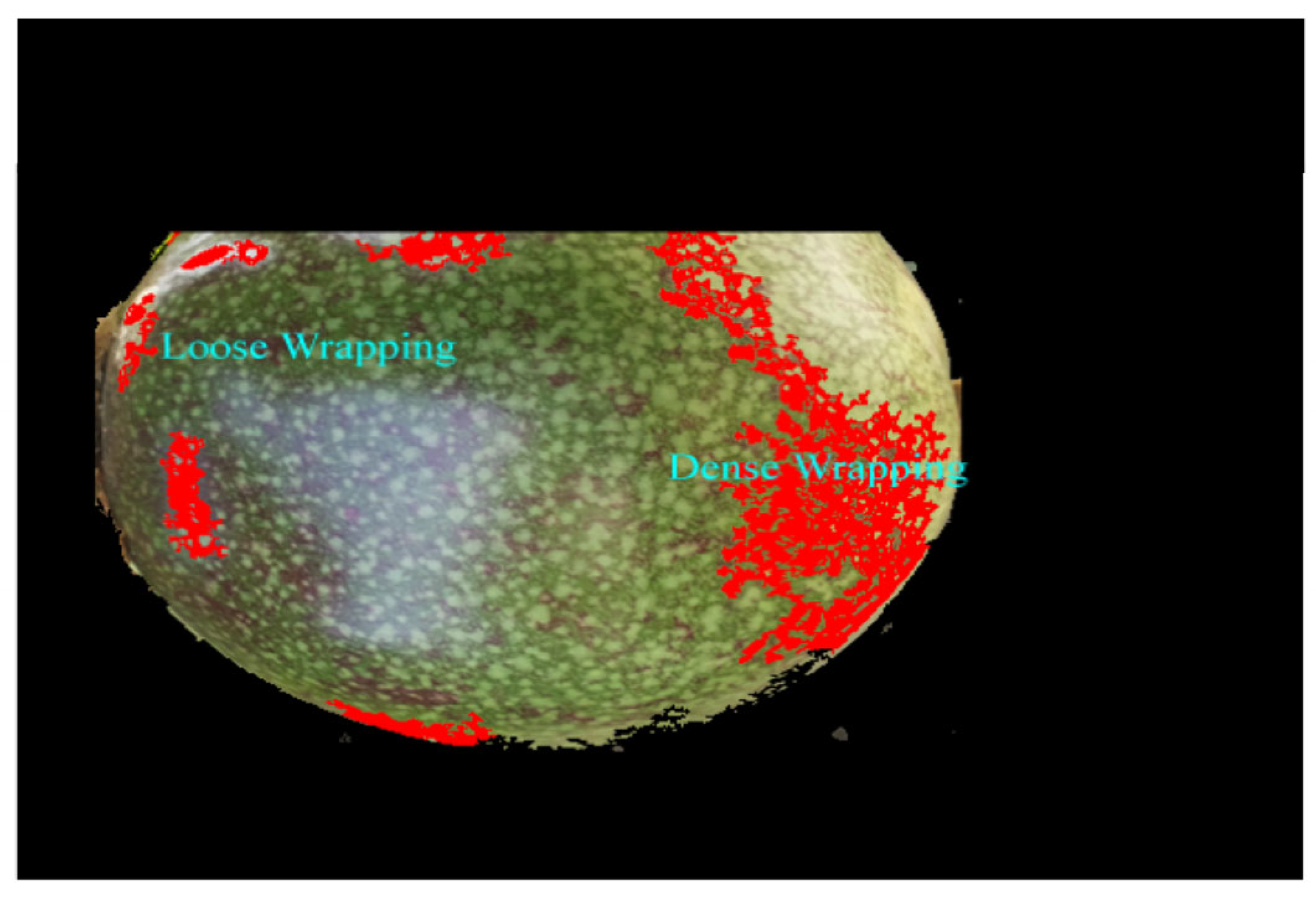 Coatings 13 00823 g001