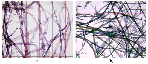 Coatings 13 00828 g001 Coatings 13 00828 g001