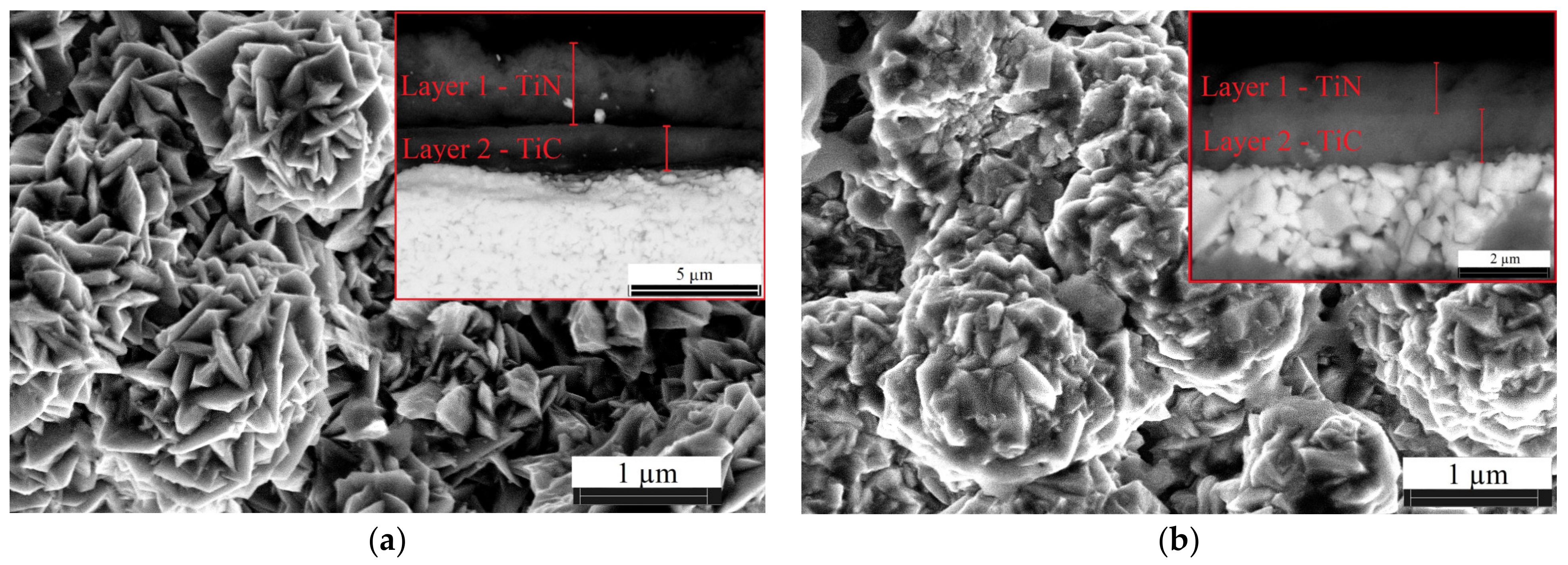 Coatings 13 00832 g001 Coatings 13 00832 g001