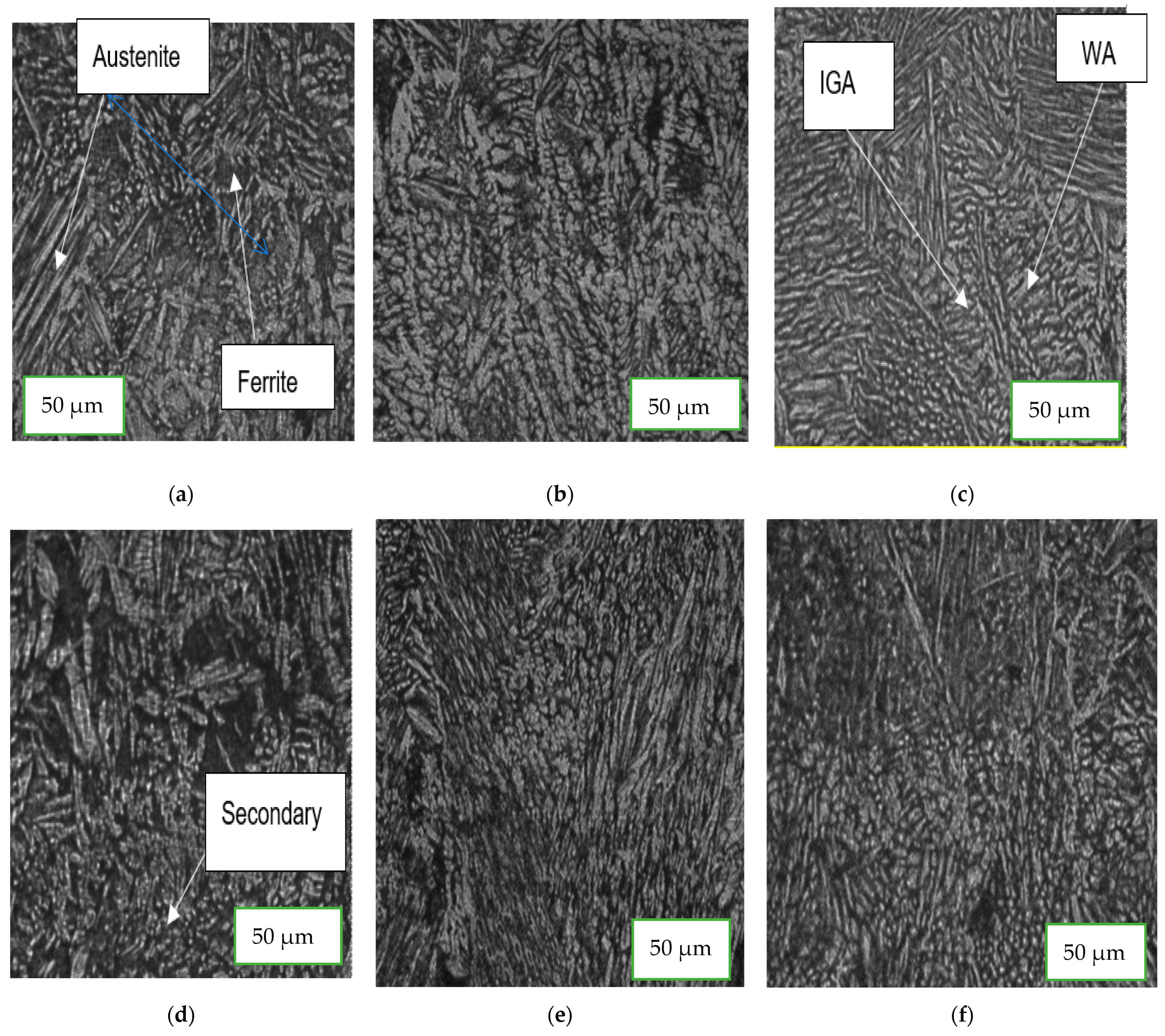 Coatings 13 00841 g008a
