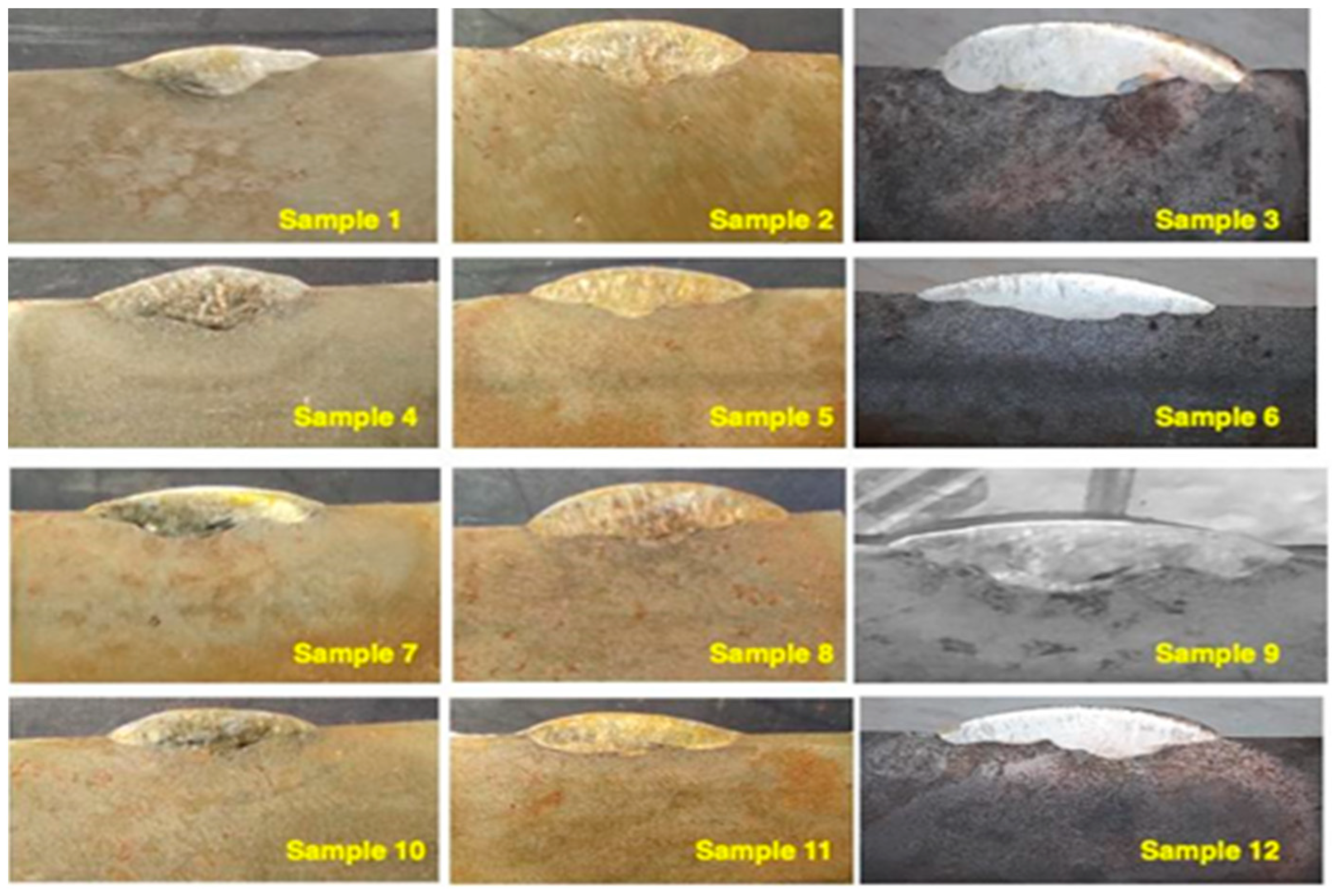 Coatings 13 00841 g010