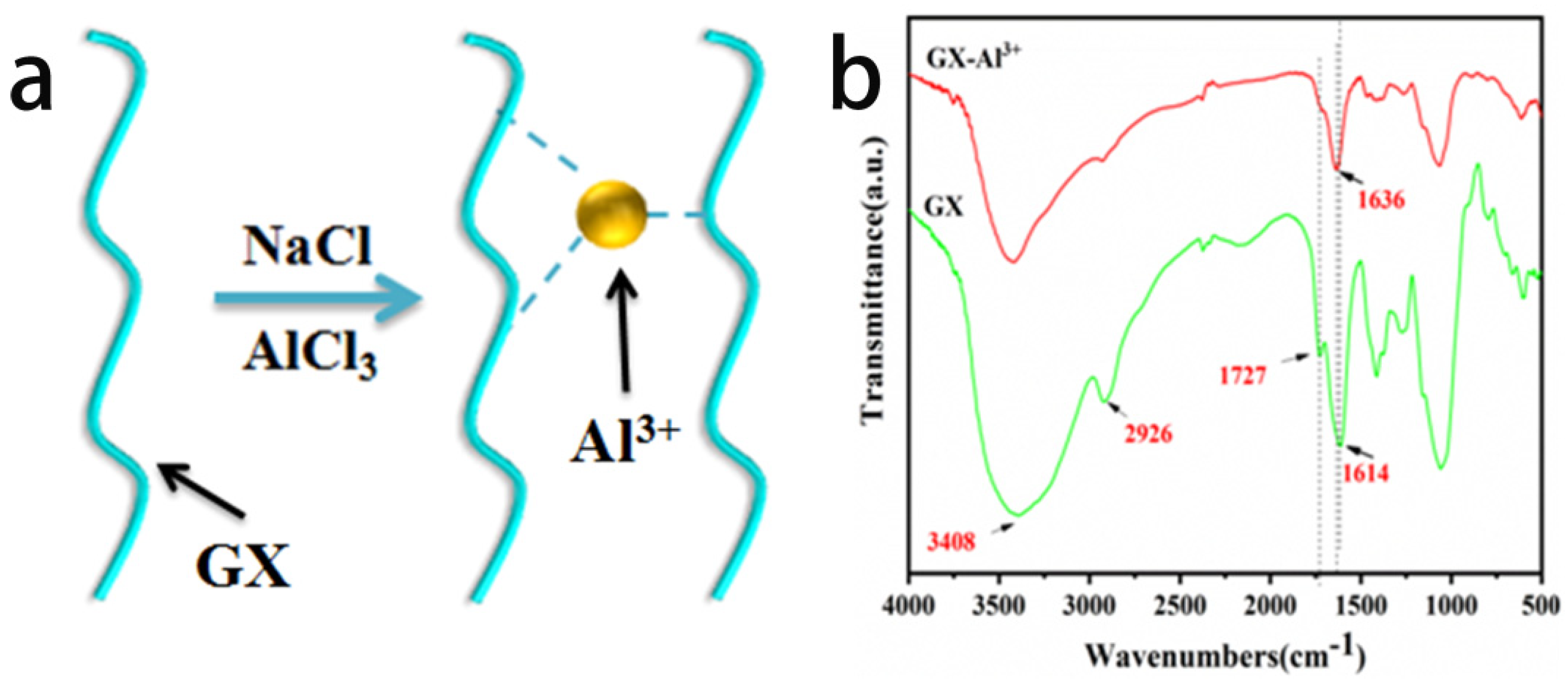 Coatings 13 00843 g001