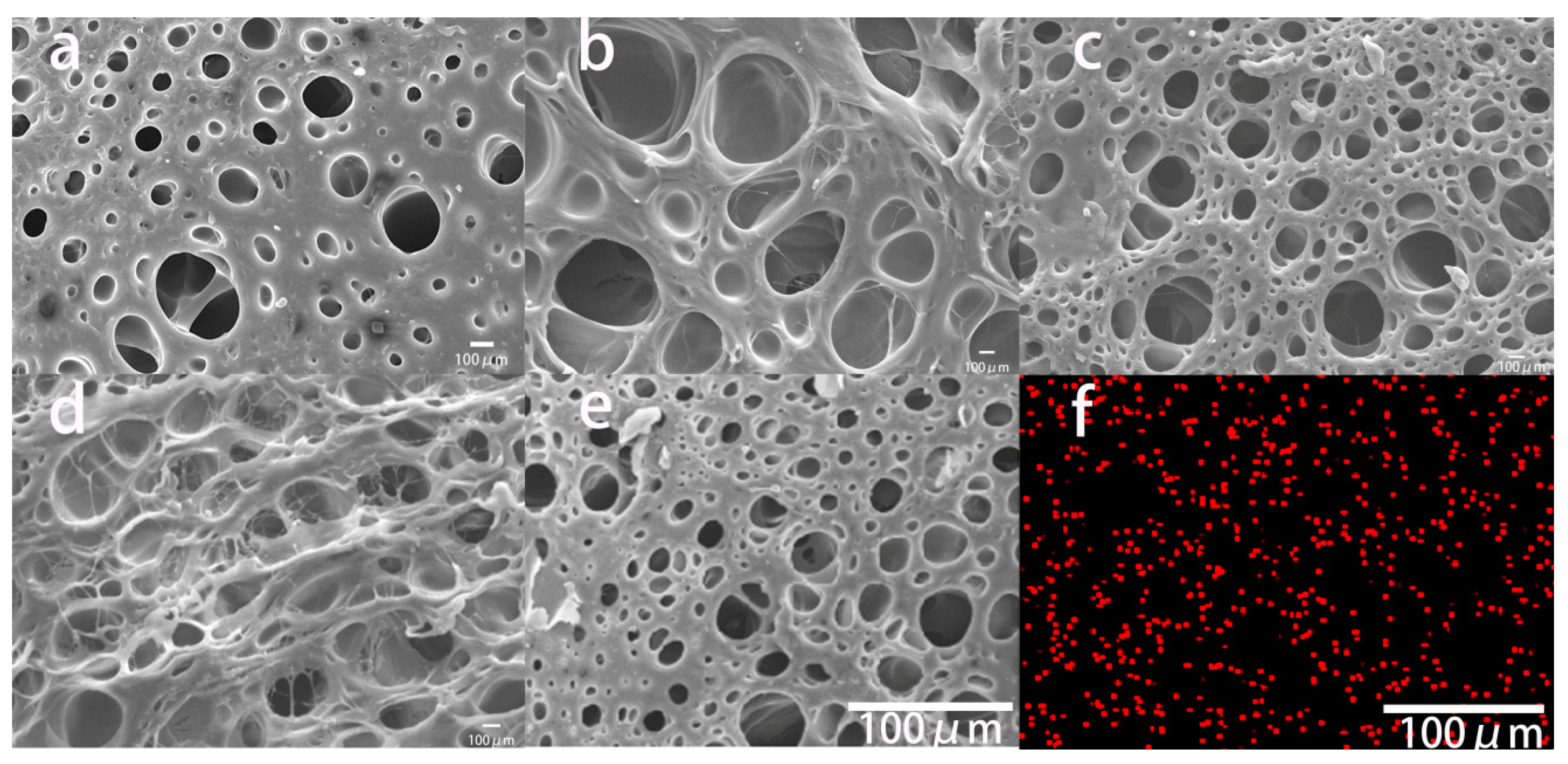Coatings 13 00843 g003