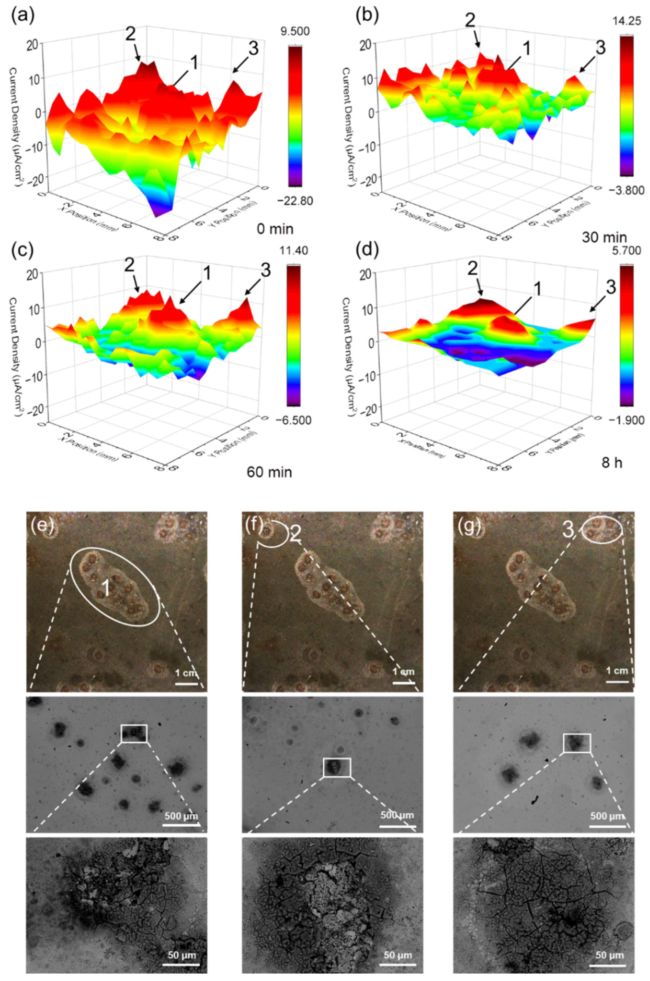 Coatings 13 00846 g003