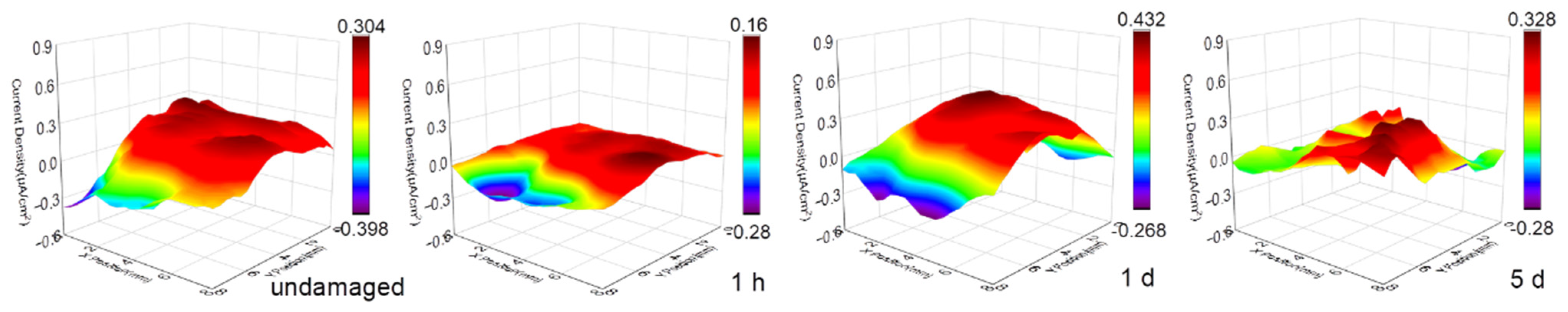 Coatings 13 00846 g004