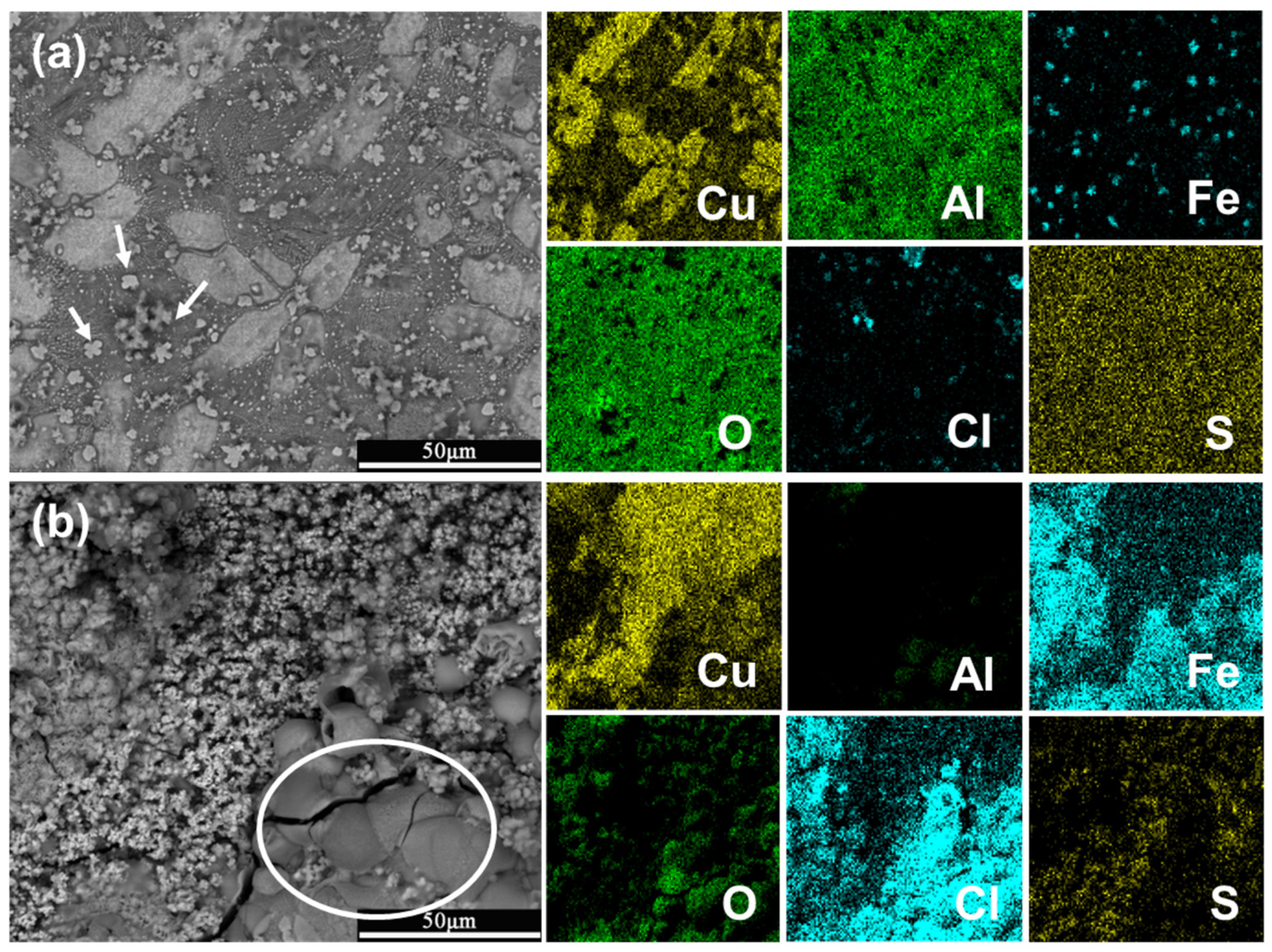 Coatings 13 00846 g009