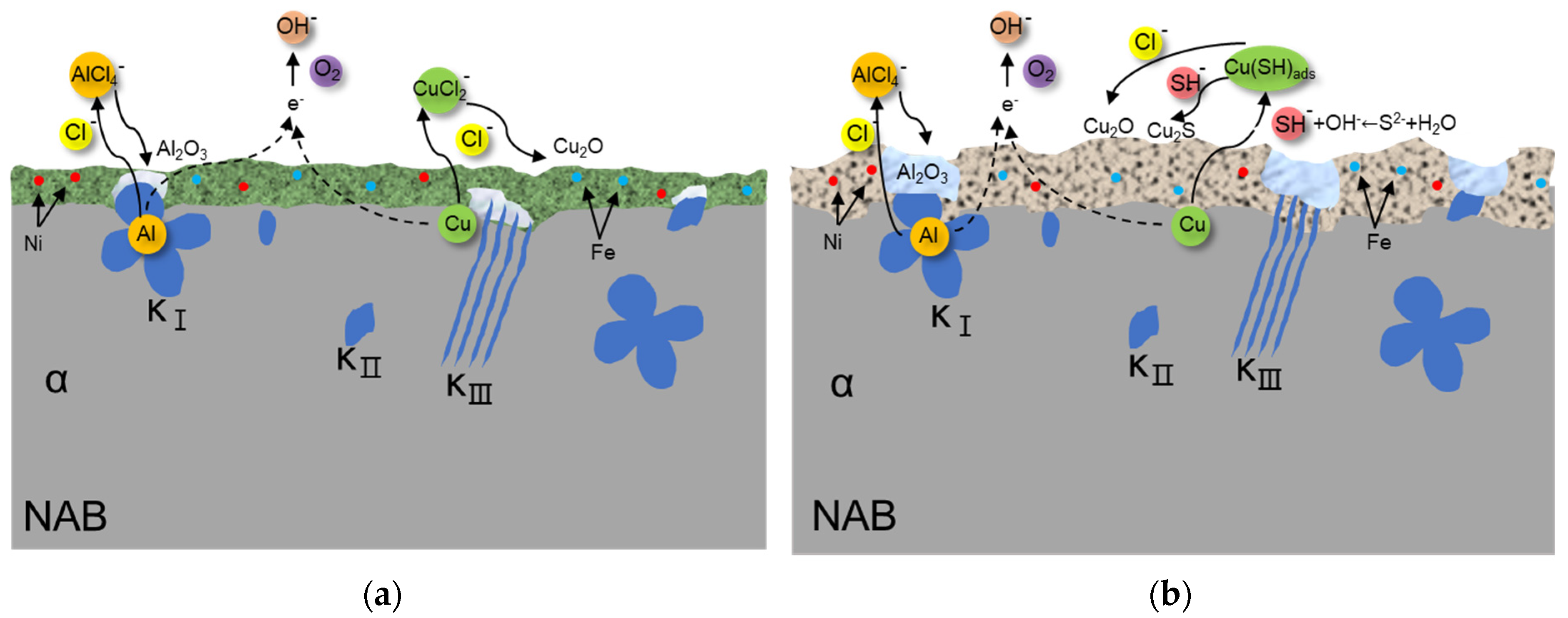 Coatings 13 00846 g012
