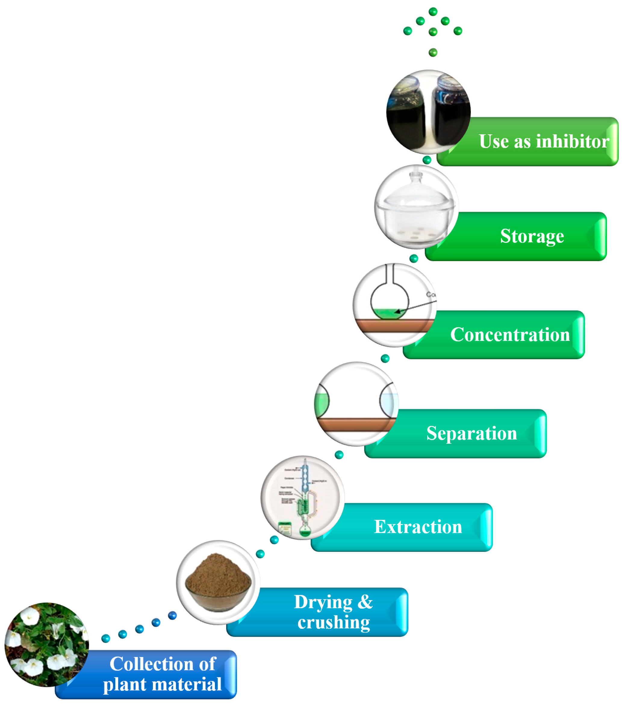 Coatings 13 00860 g001