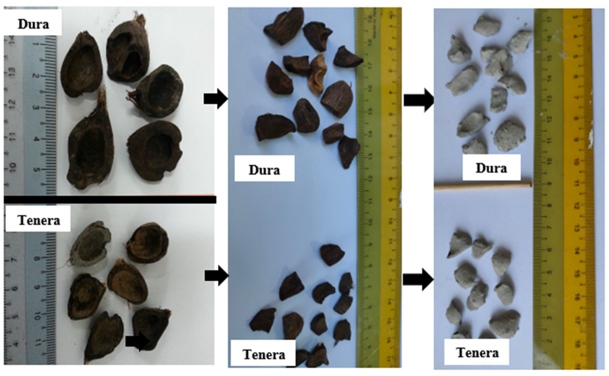 Coatings 13 00864 g003