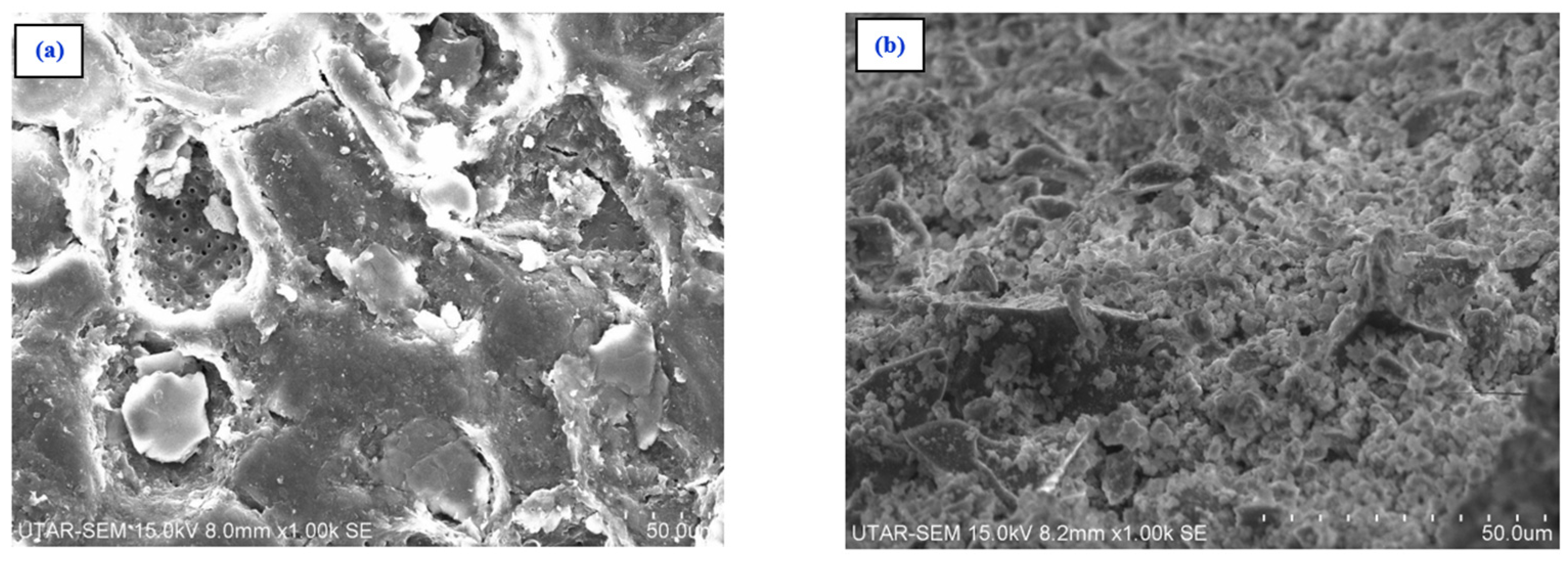 Coatings 13 00864 g010