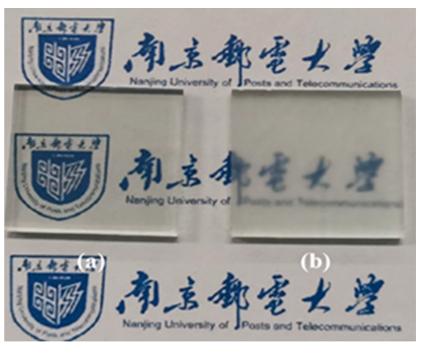 Coatings 13 00867 g005