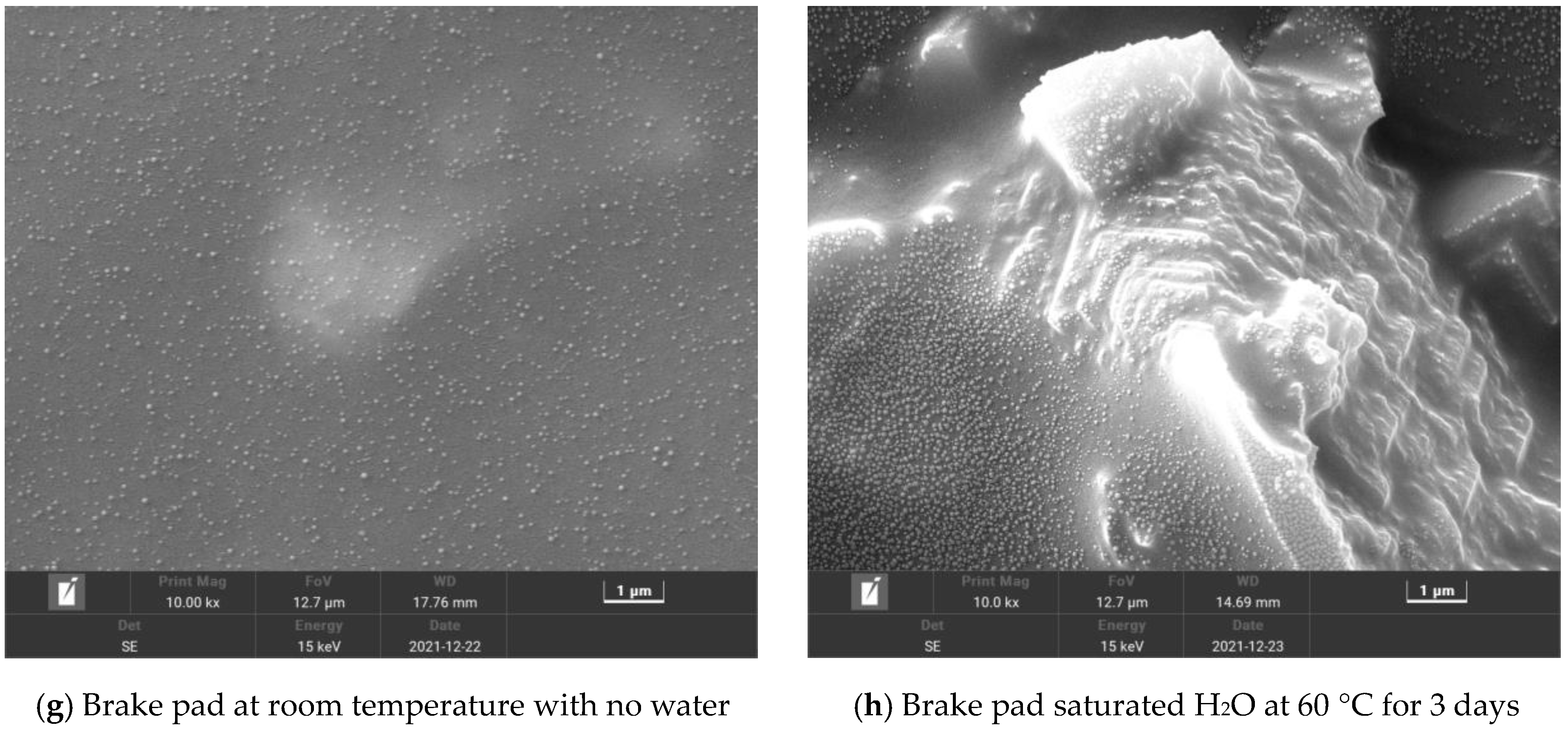 Coatings 13 00868 g014b