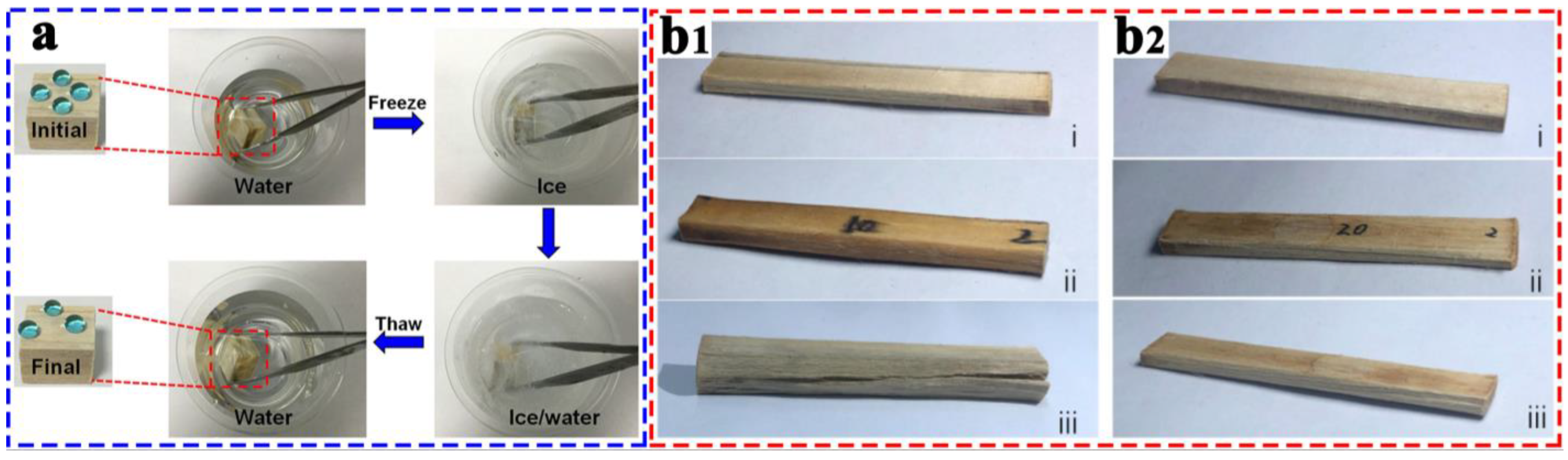 Coatings 13 00877 g015 Coatings 13 00877 g015