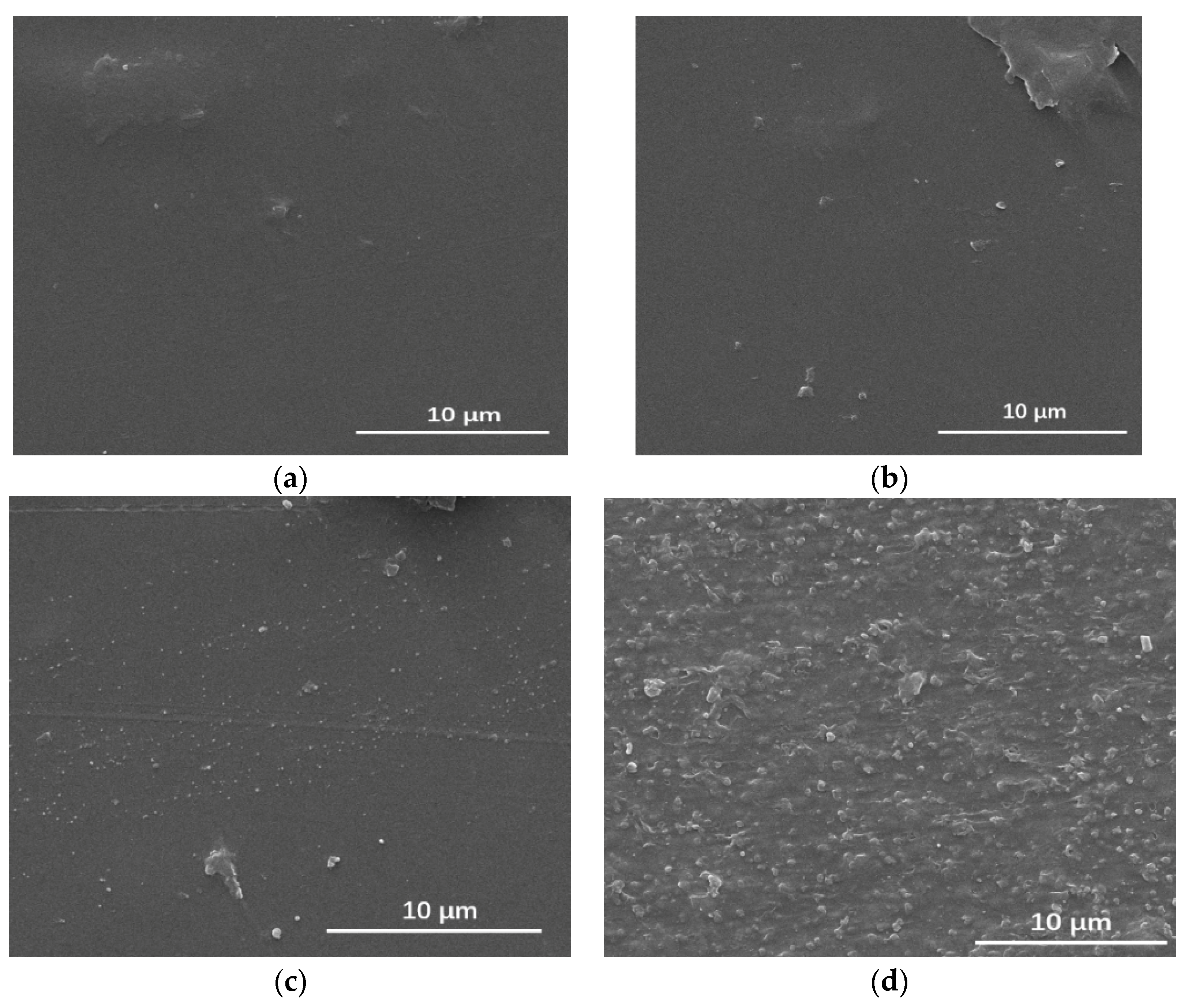Coatings 13 00887 g005