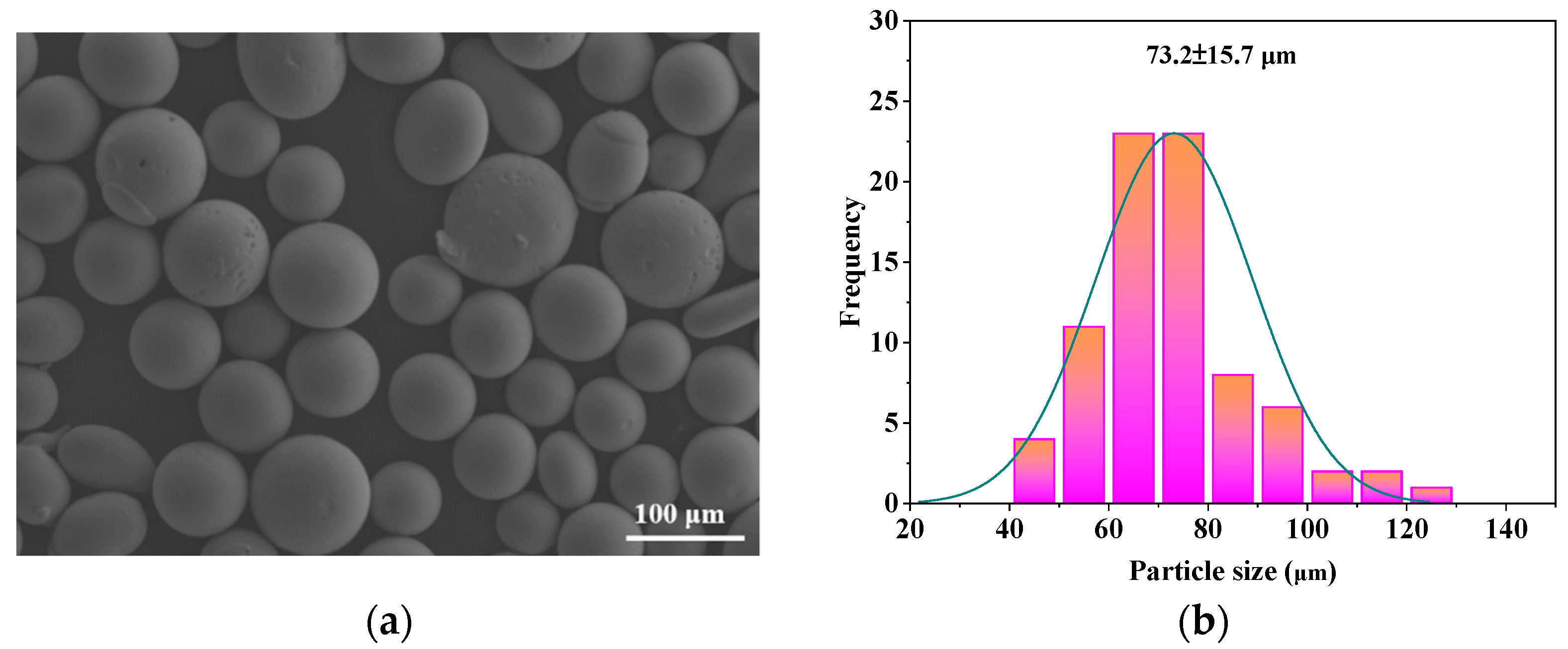 Coatings 13 00894 g001