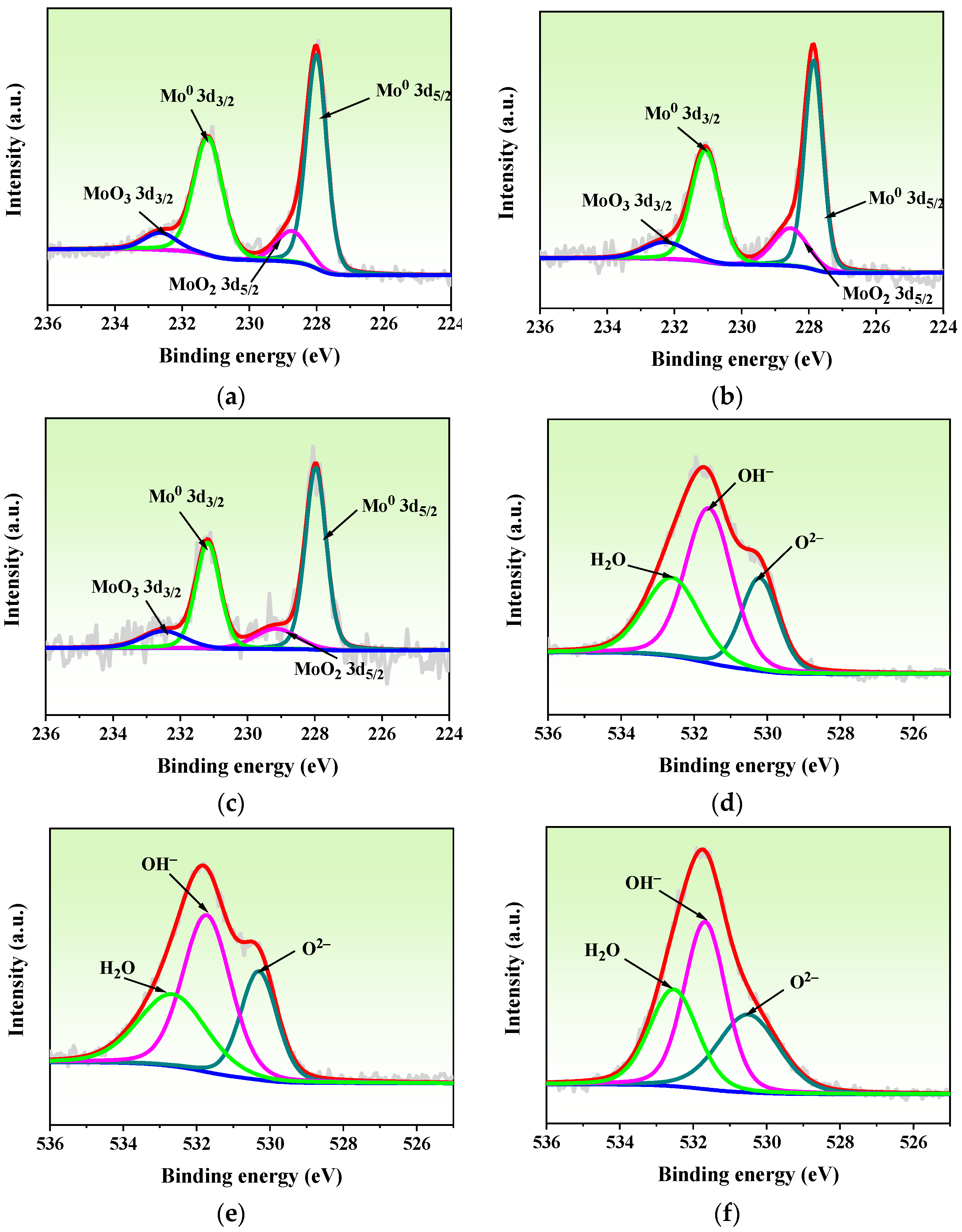 Coatings 13 00894 g011