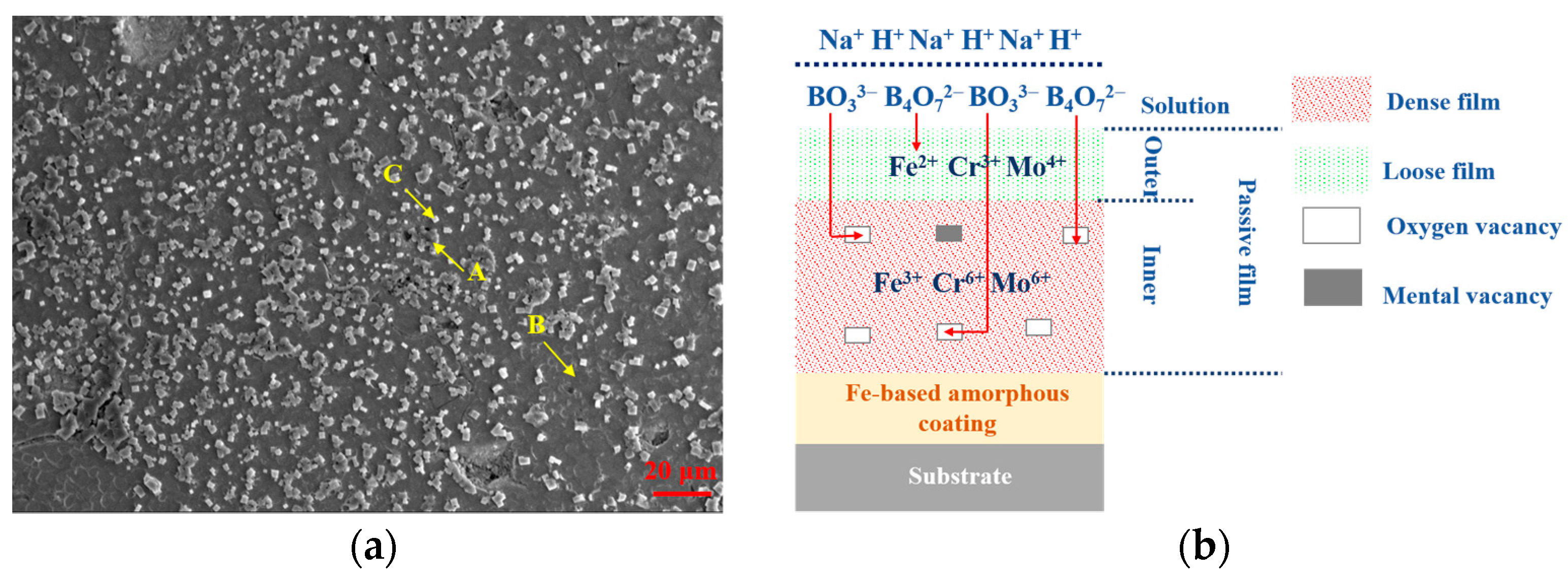 Coatings 13 00894 g014