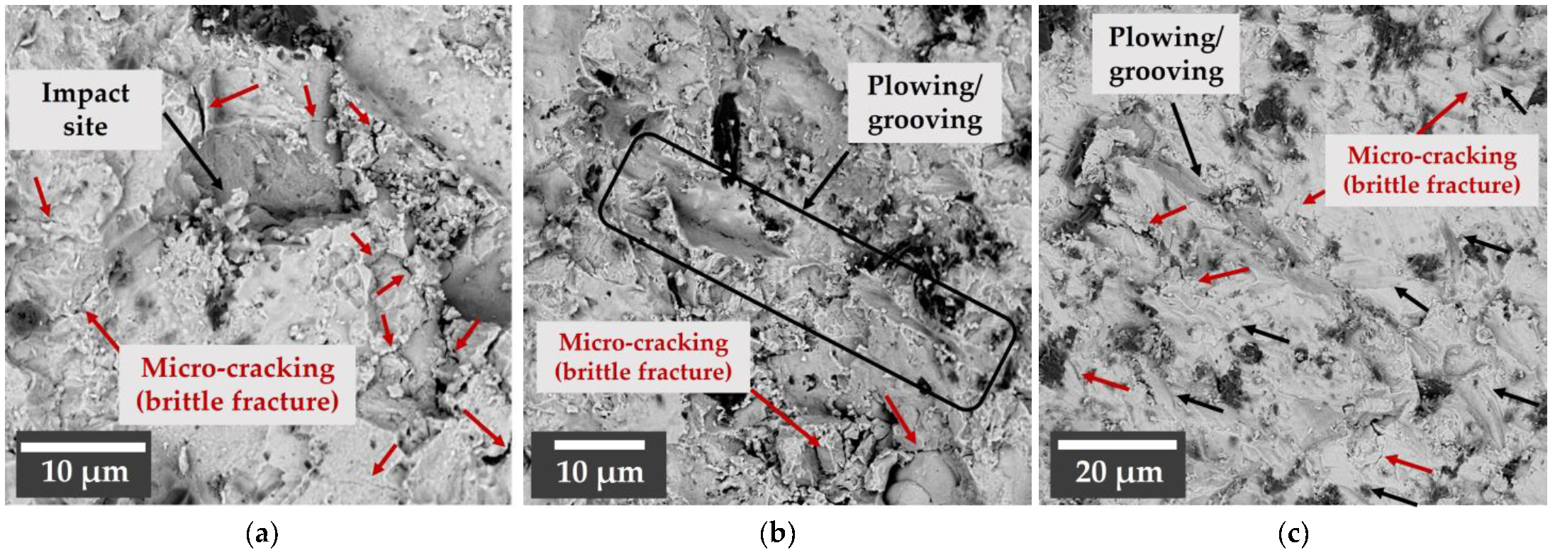 Coatings 13 00902 g010