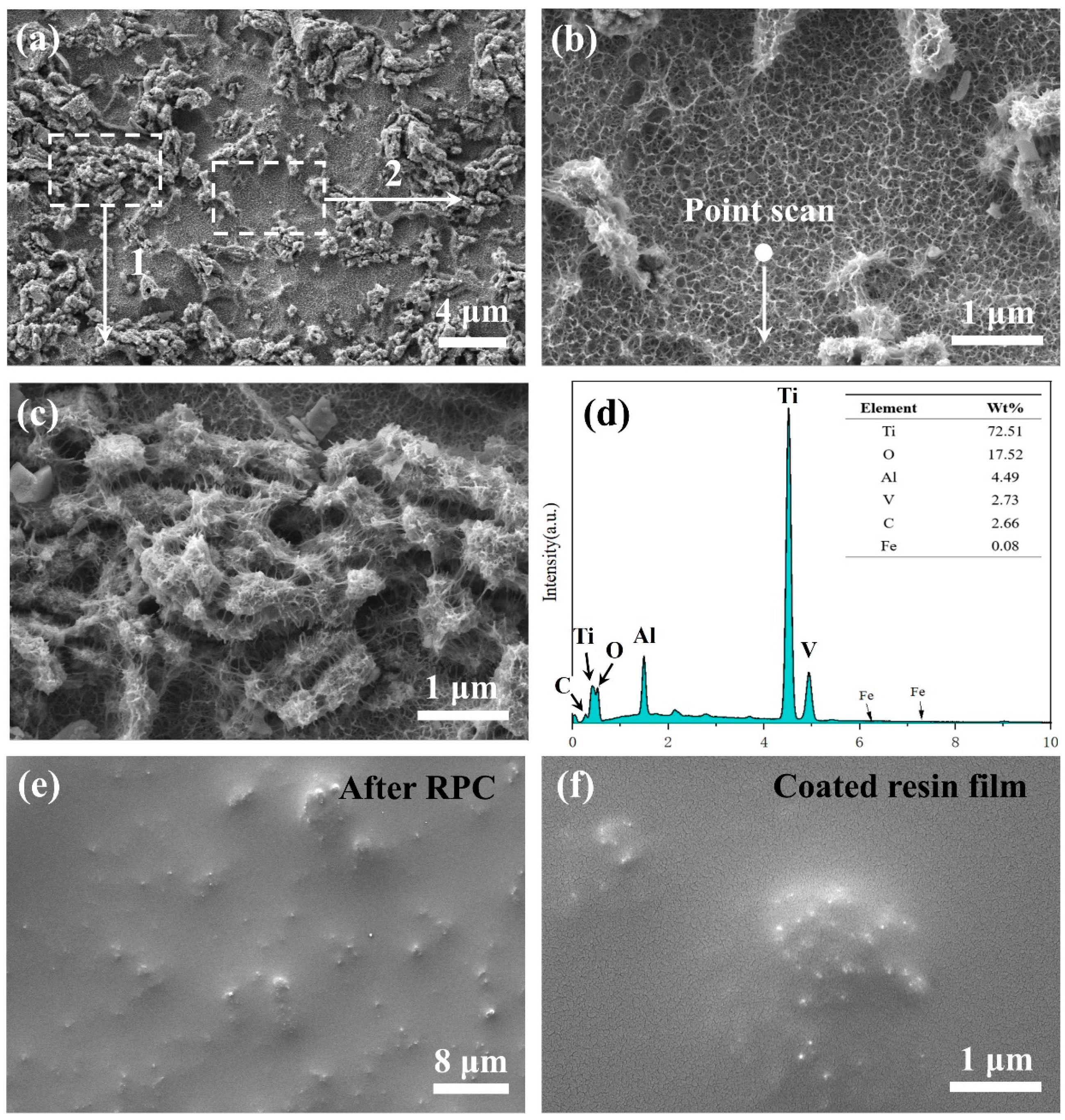 Coatings 13 00903 g002