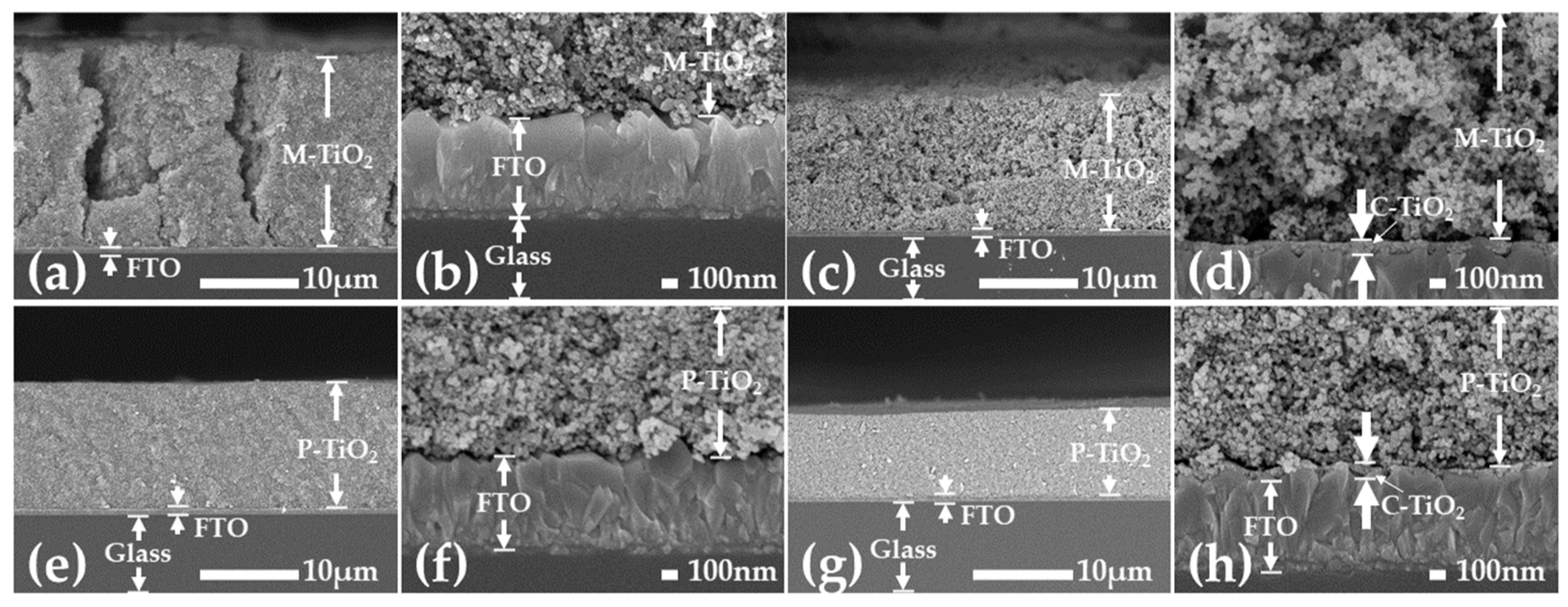 Coatings 13 00907 g002