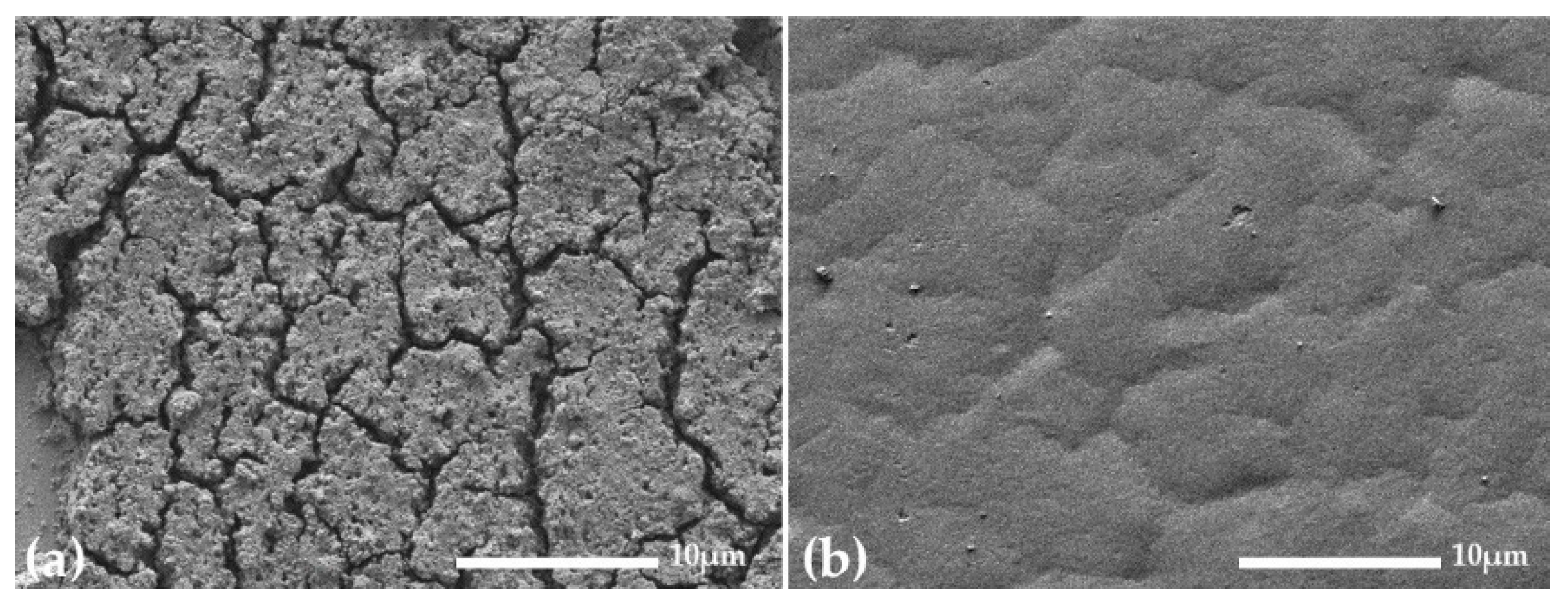 Coatings 13 00907 g003