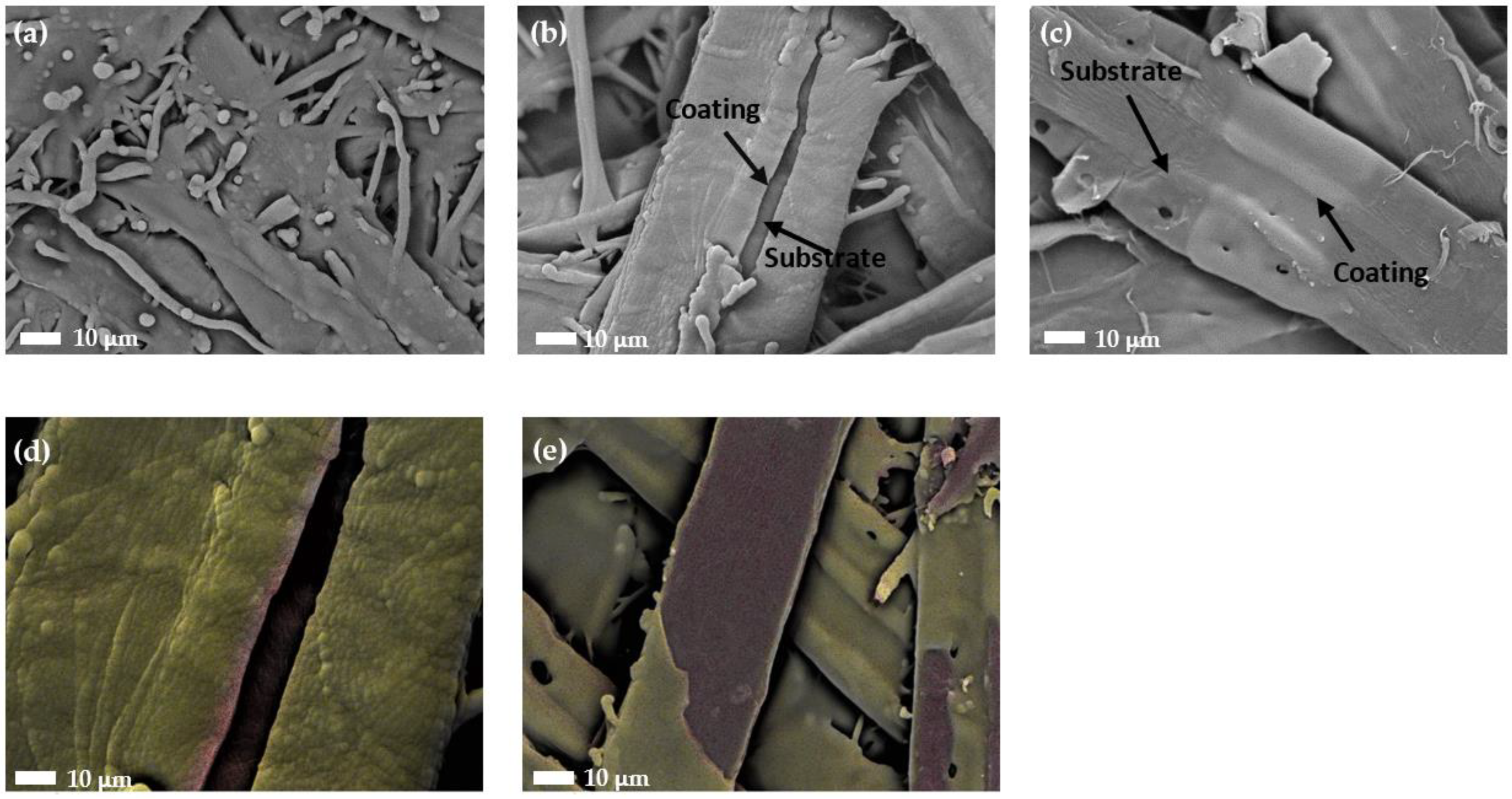 Coatings 13 00924 g006