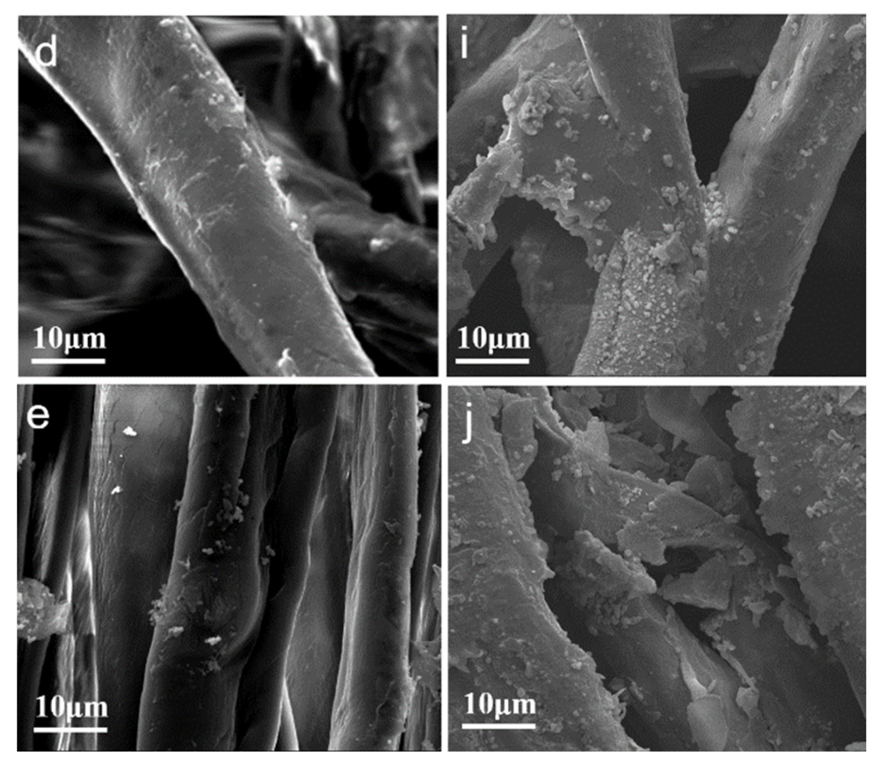 Coatings 13 00925 g001b