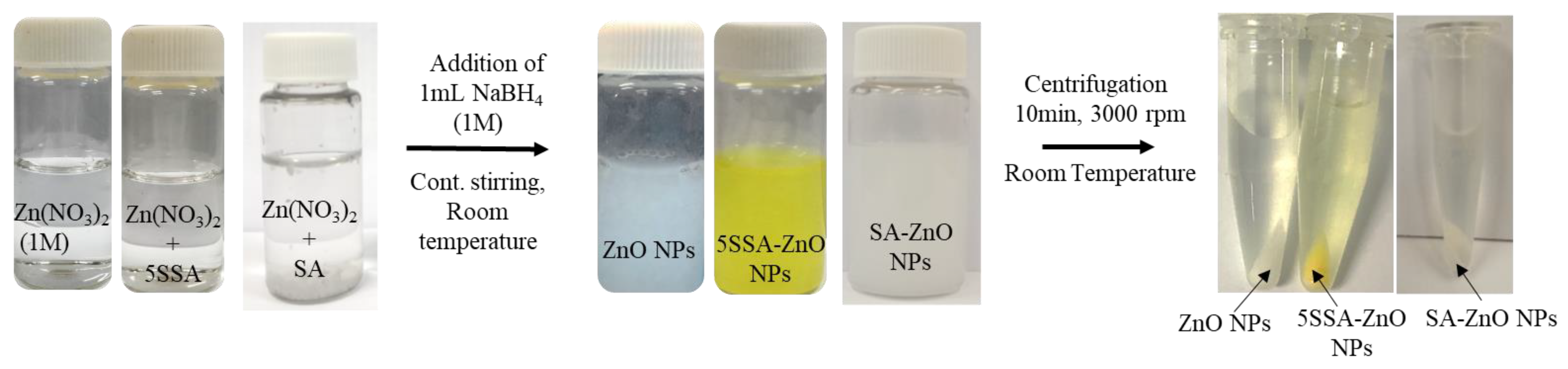 Coatings 13 00941 g001