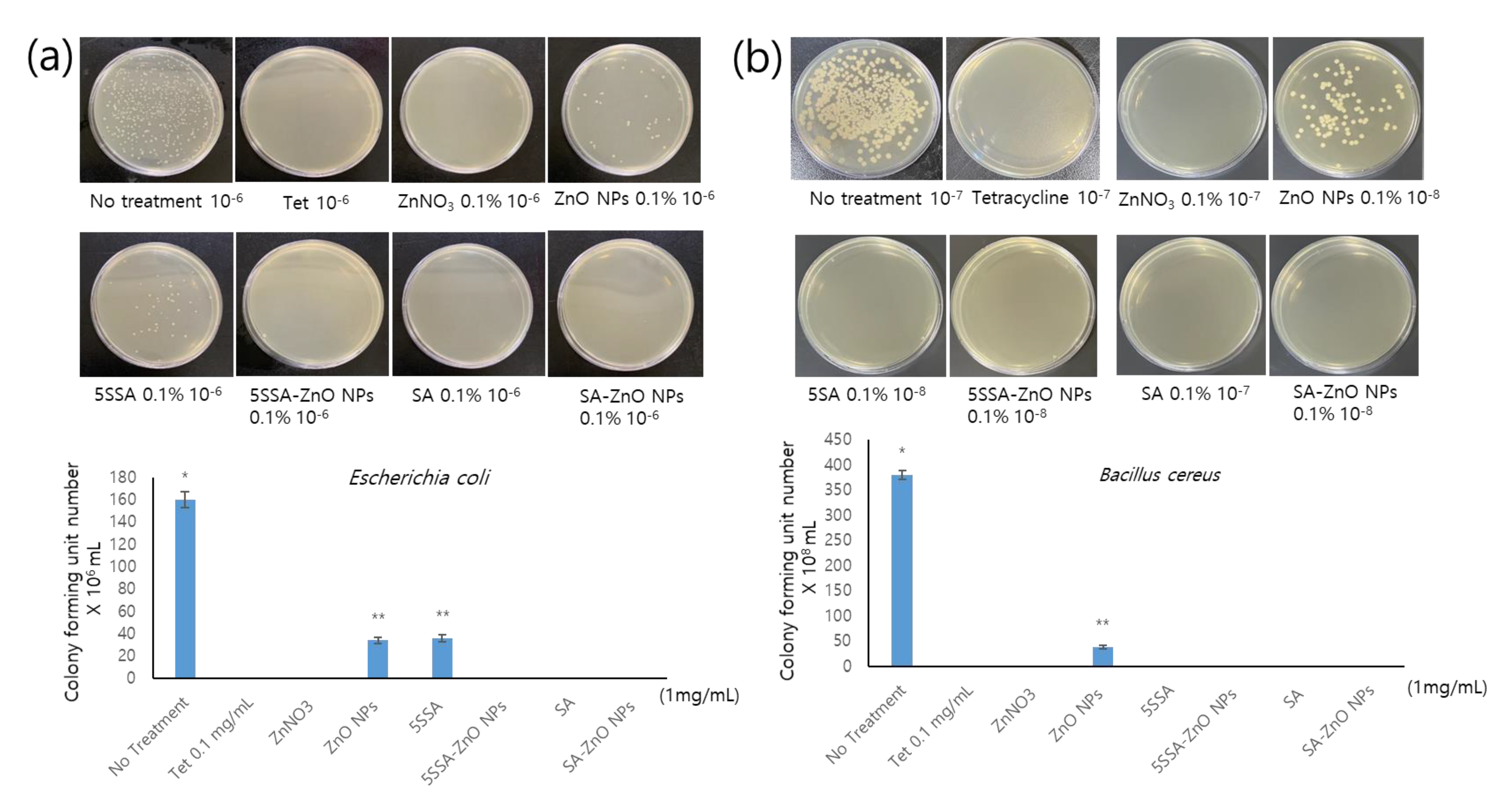 Coatings 13 00941 g005