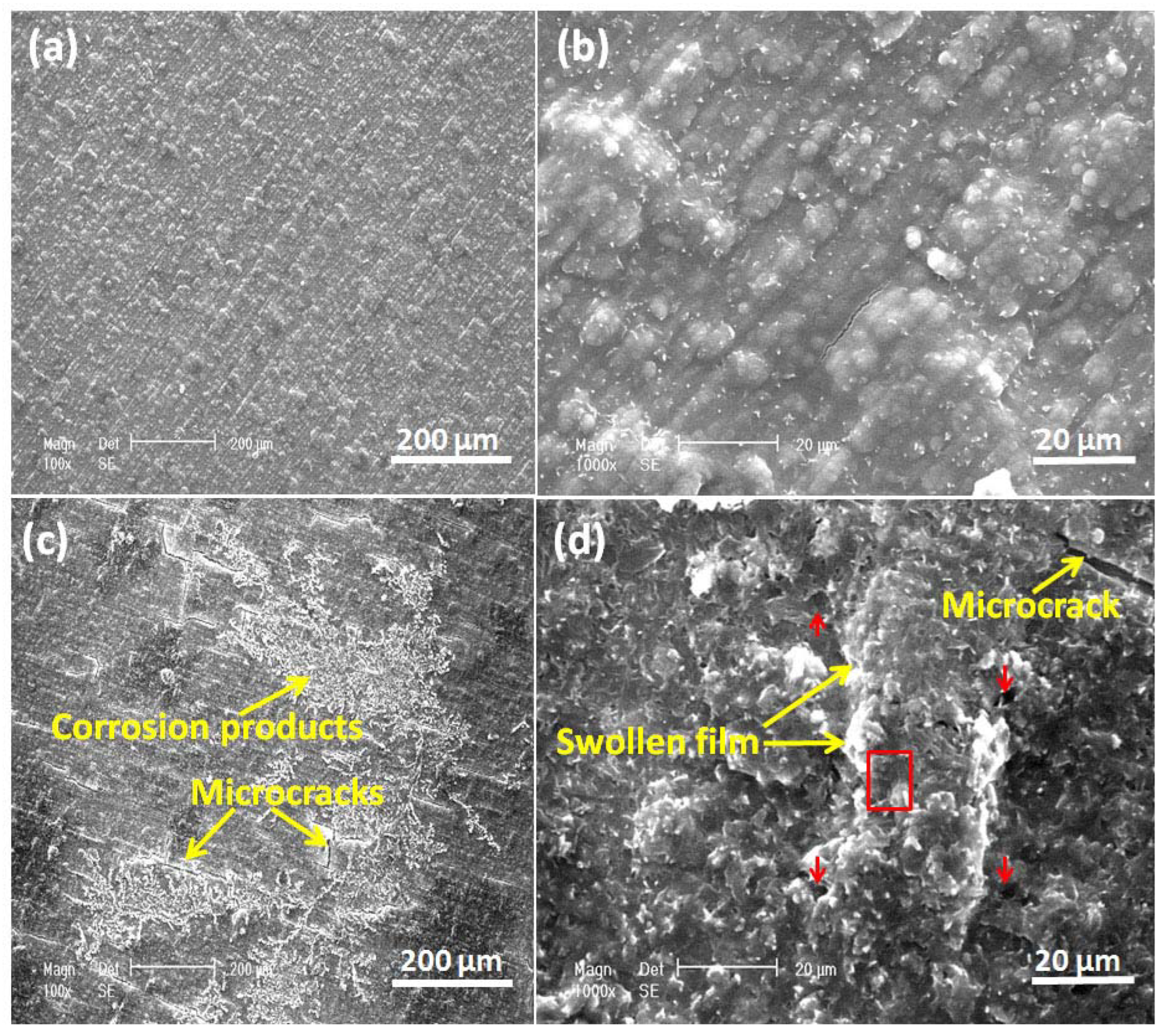 Coatings 13 00944 g012 Coatings 13 00944 g012