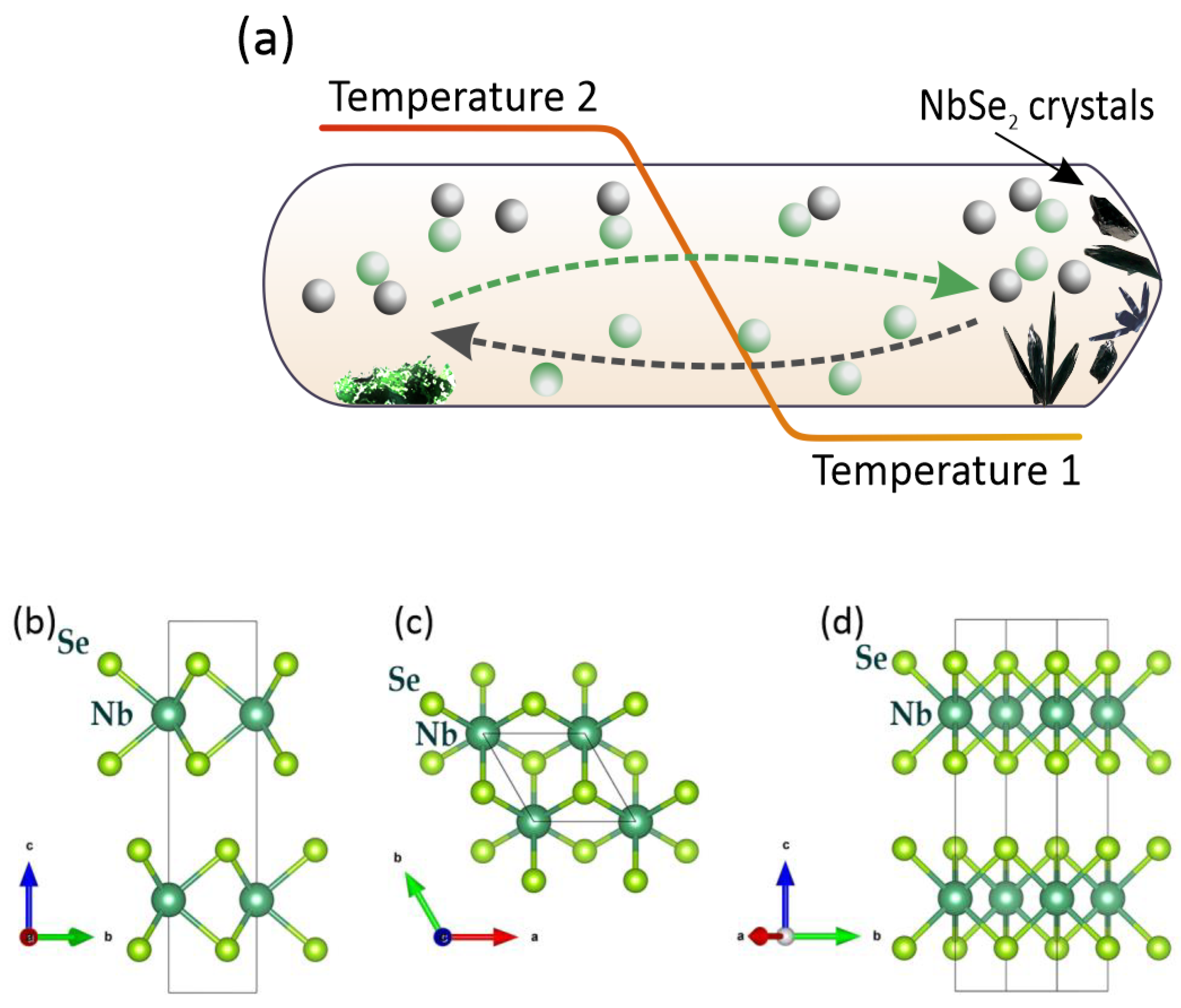Coatings 13 00947 g001