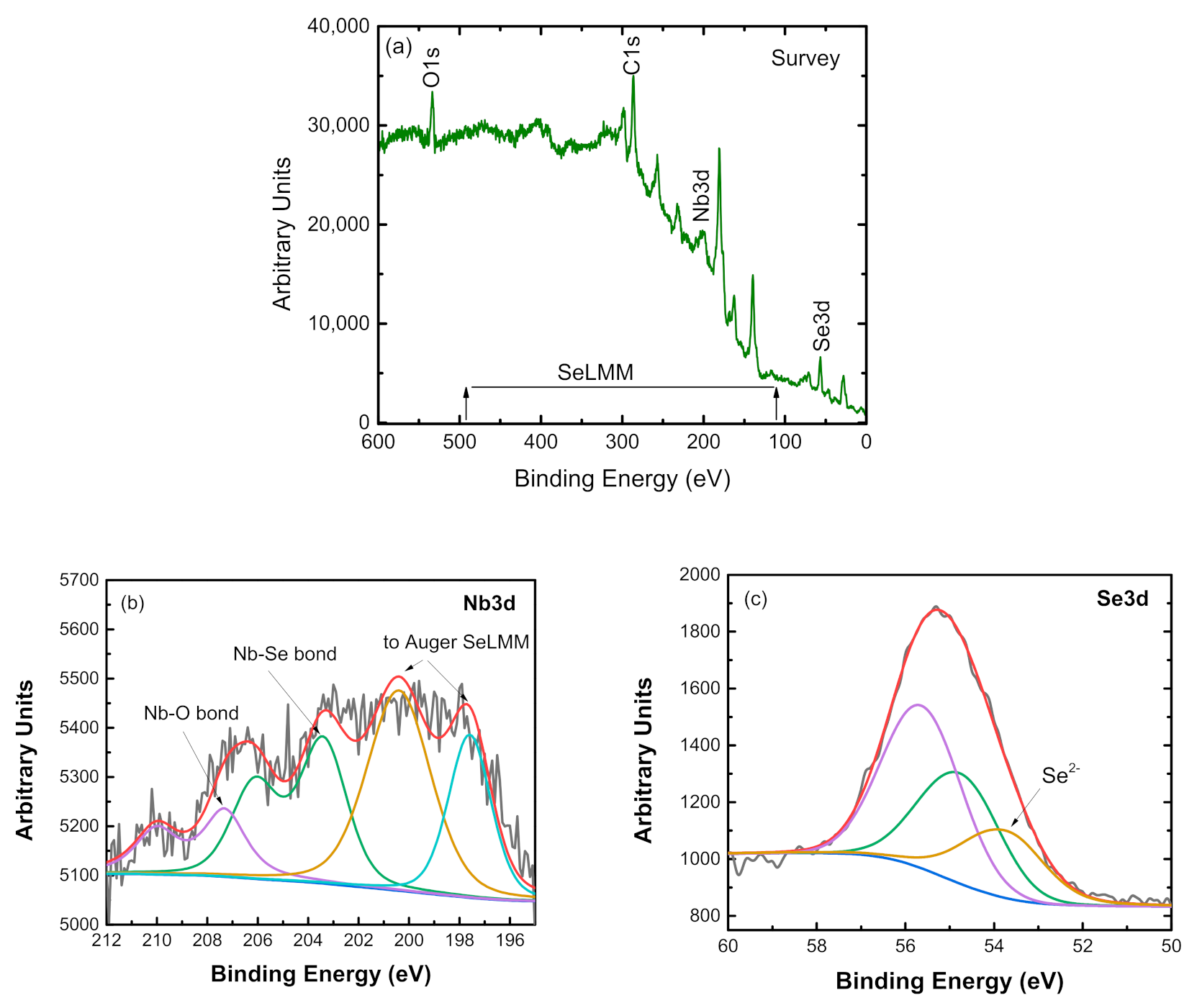 Coatings 13 00947 g005