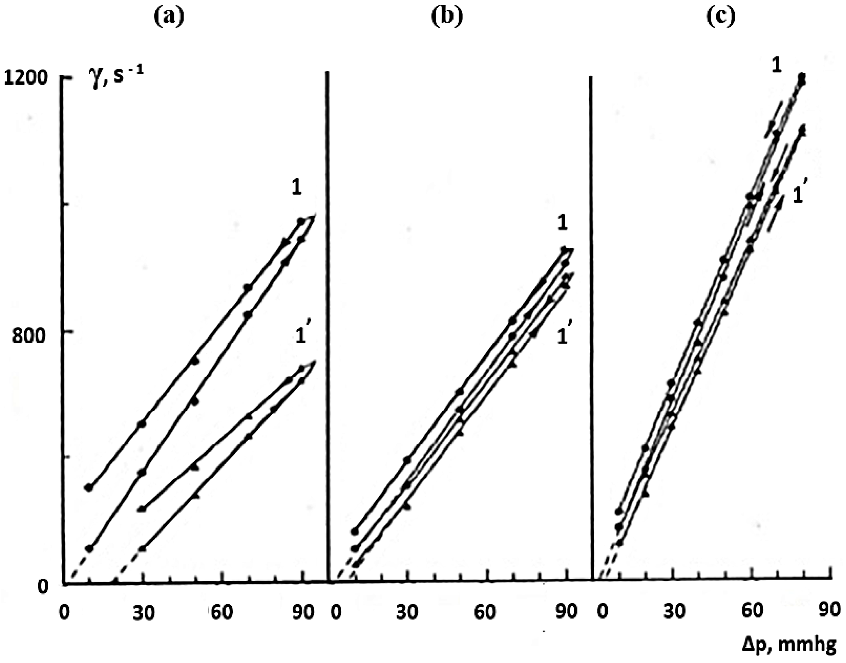 Coatings 13 00974 g006