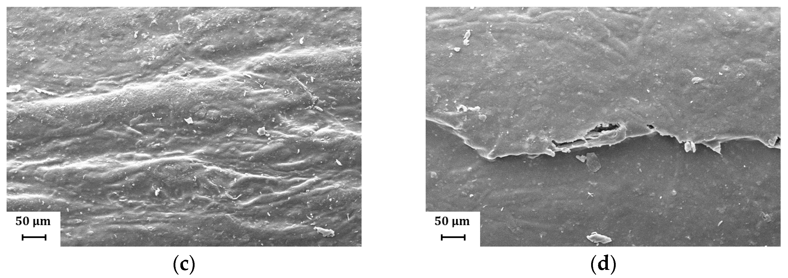 Coatings 13 00975 g010b