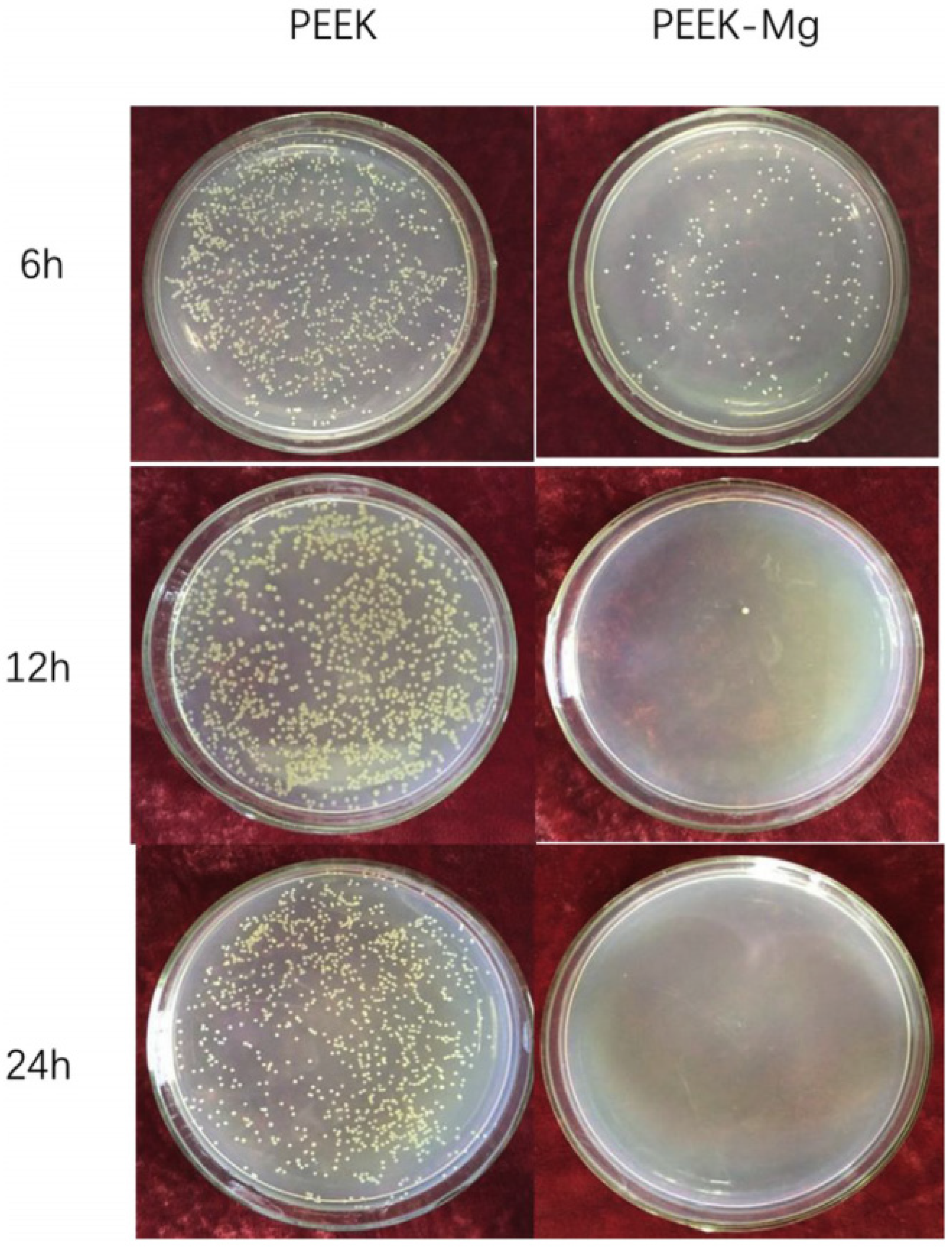 Coatings 13 00977 g001