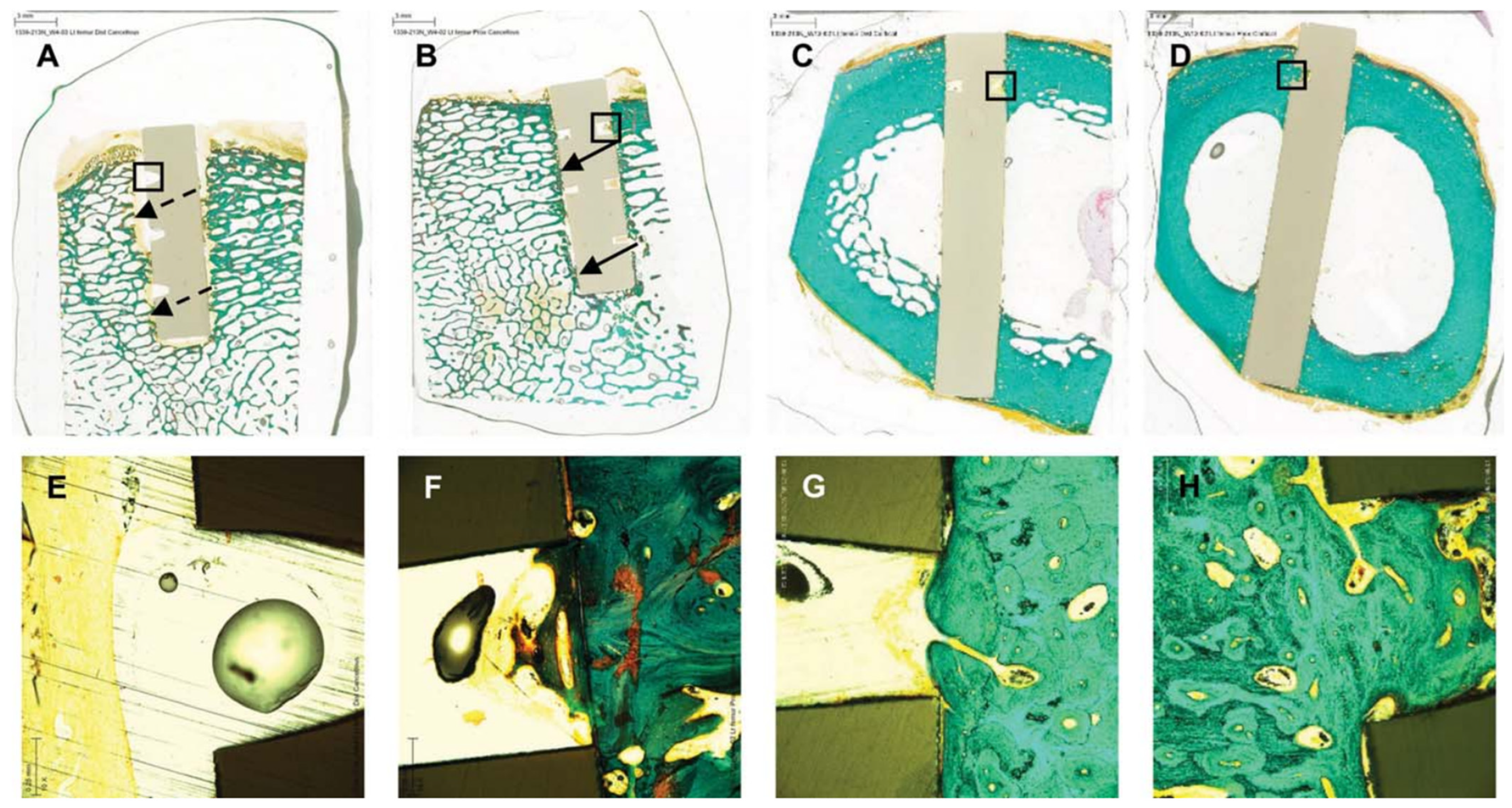 Coatings 13 00977 g003