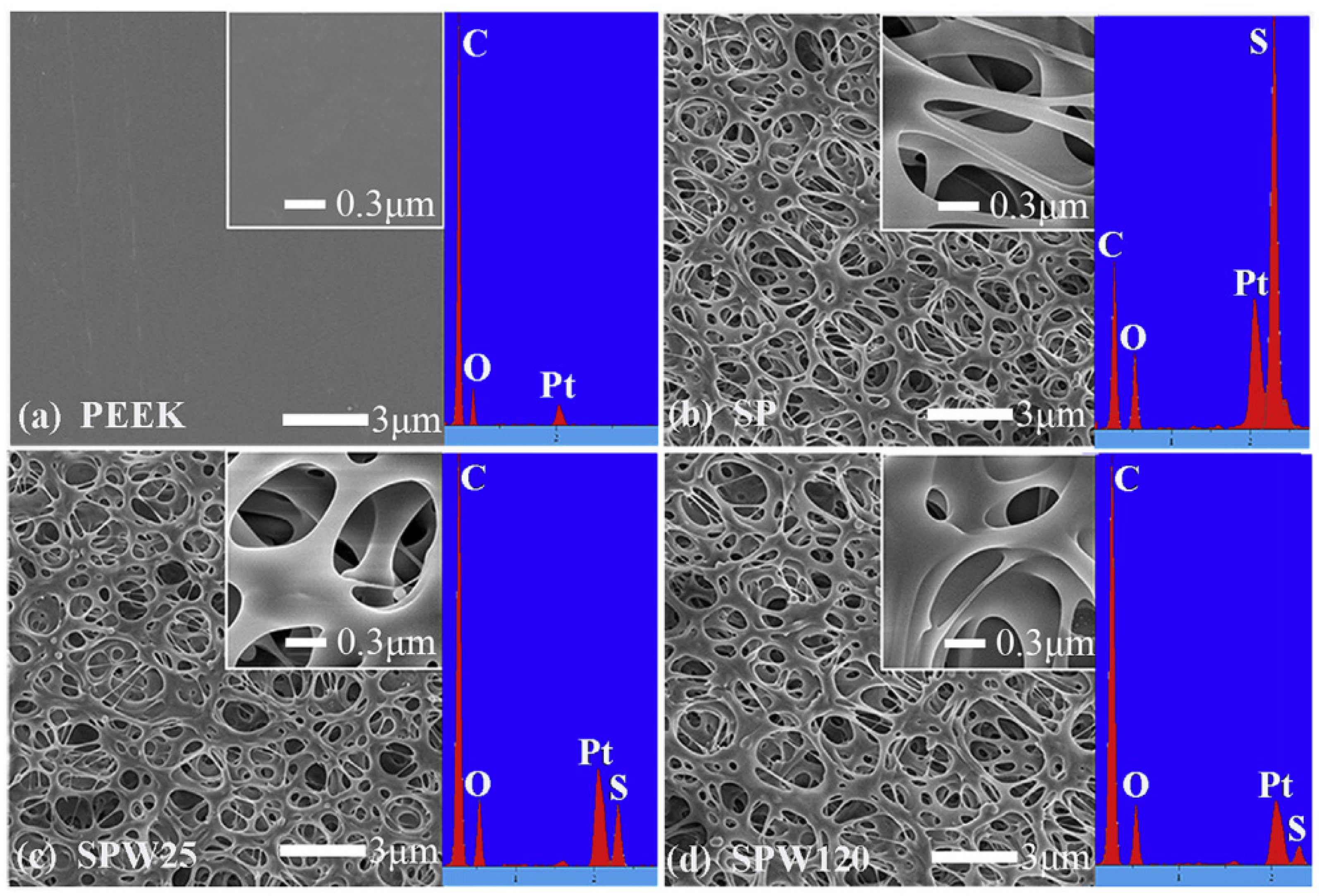 Coatings 13 00977 g004